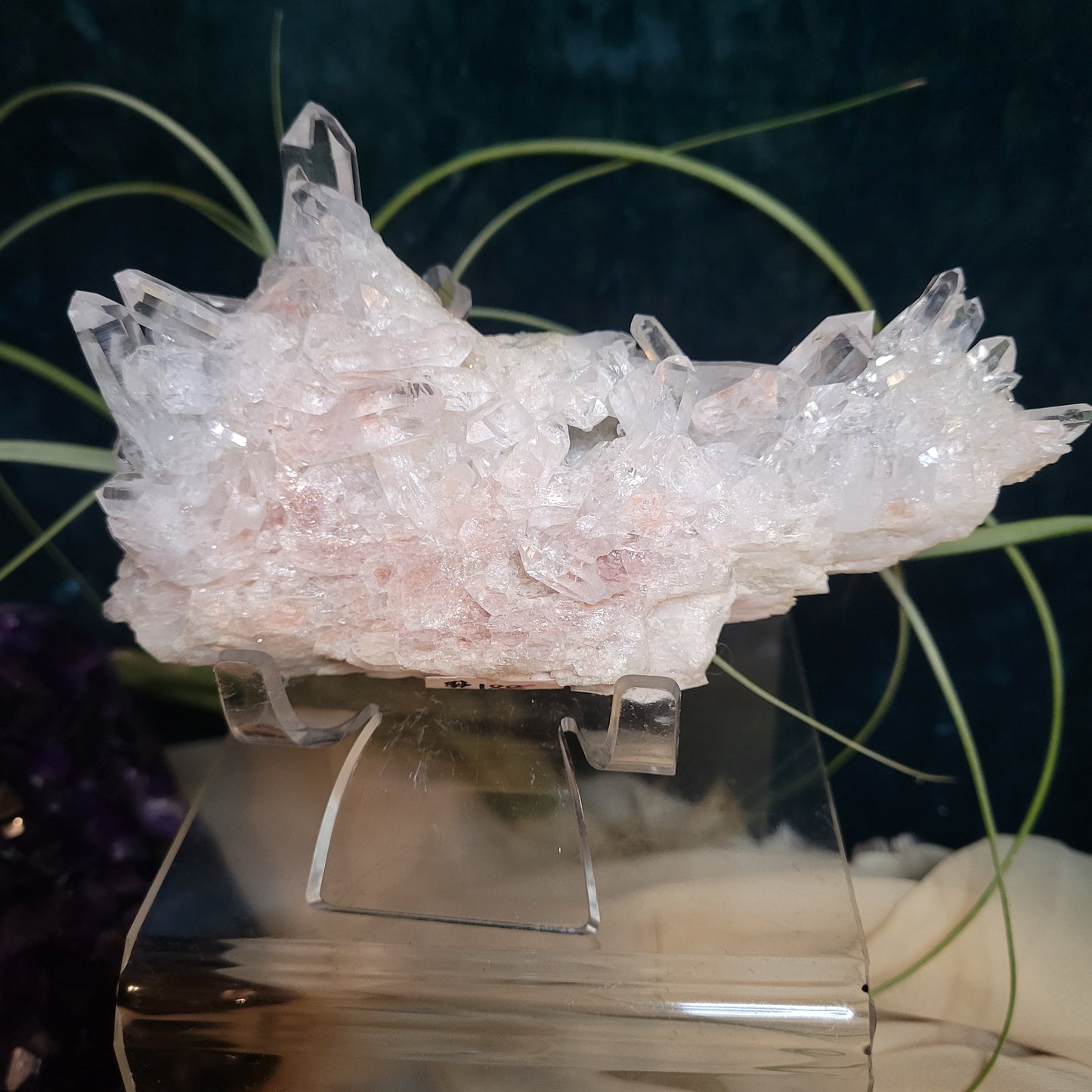 🌻Livestream Bundle for Deni G.🌻