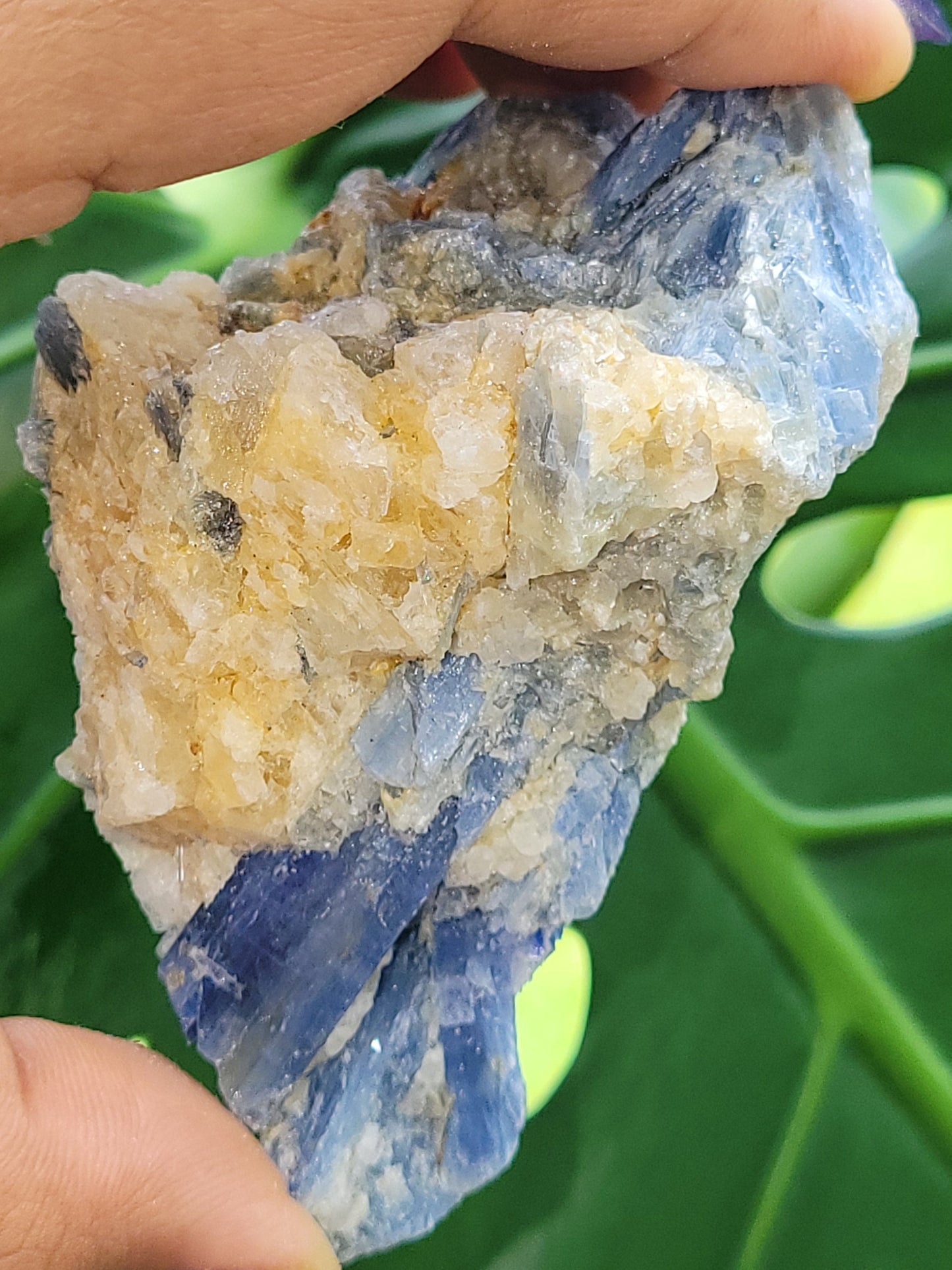 Kyanite & Quartz Crystal - Raw Natural Mineral Specimen - Home Decor - Crystal Collector - Gift