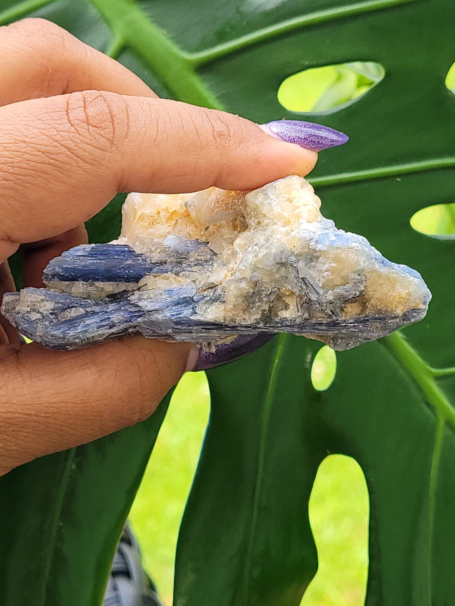 Kyanite & Quartz Crystal - Raw Natural Mineral Specimen - Home Decor - Crystal Collector - Gift