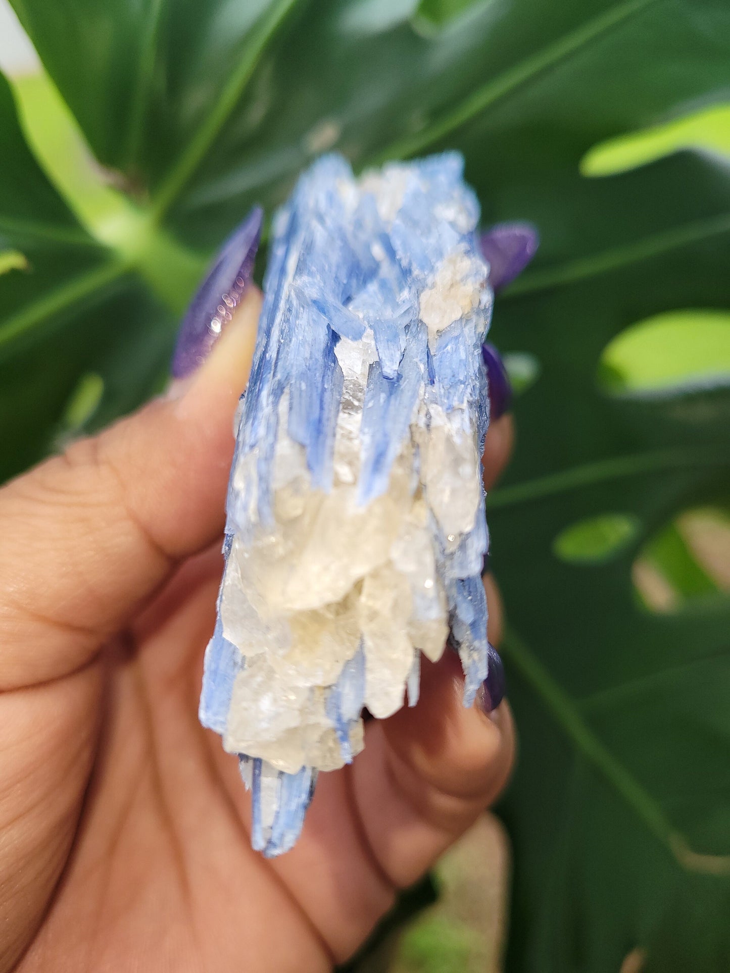 Kyanite & Quartz Crystal - Raw Natural Mineral Specimen - Home Decor - Crystal Collector - Gift