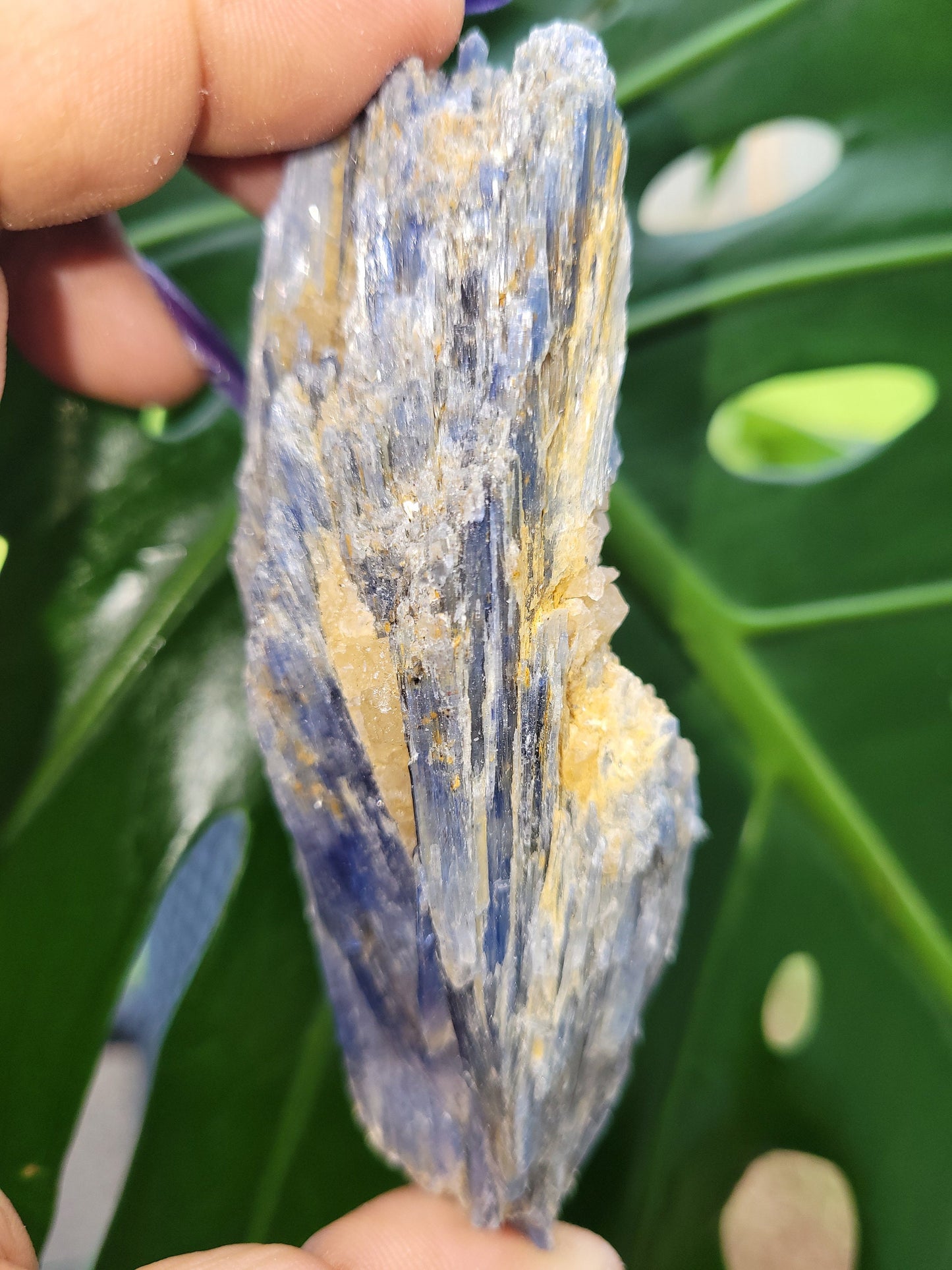 Kyanite & Quartz Crystal - Raw Natural Mineral Specimen - Home Decor - Crystal Collector - Gift