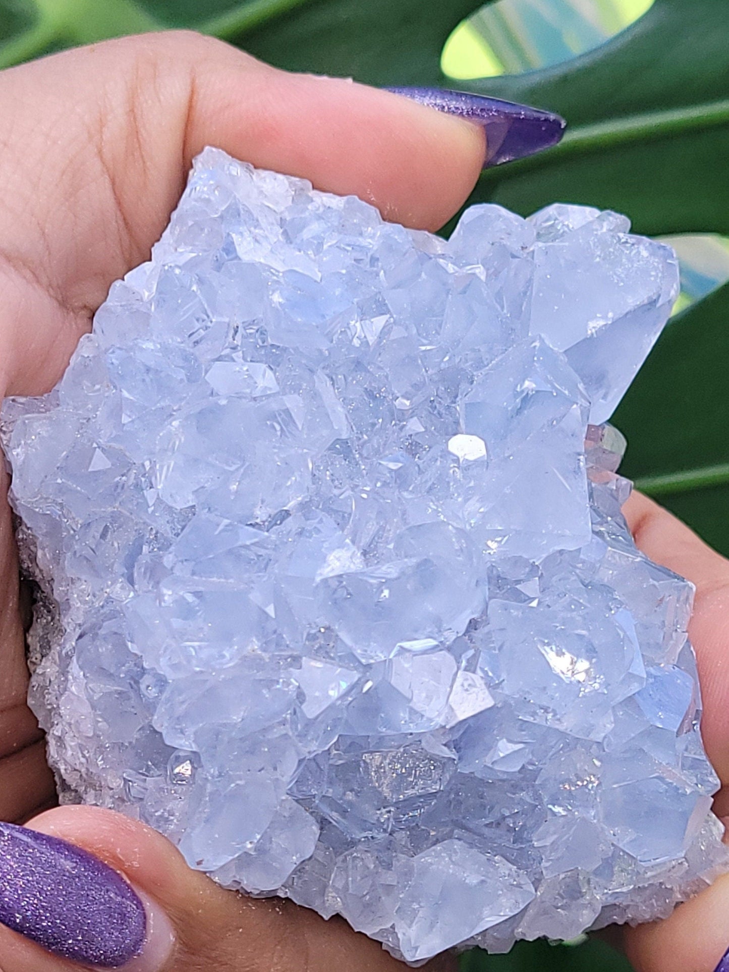 Beautiful Celestite Crystal - Raw Natural Mineral Specimen - Home Decor - Crystal Collector - Gift - Madagascar