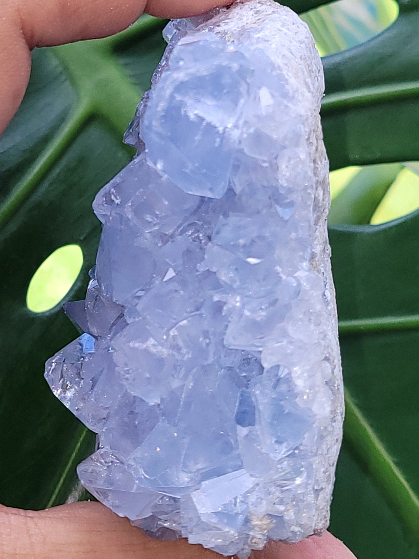Beautiful Celestite Crystal - Raw Natural Mineral Specimen - Home Decor - Crystal Collector - Gift - Madagascar