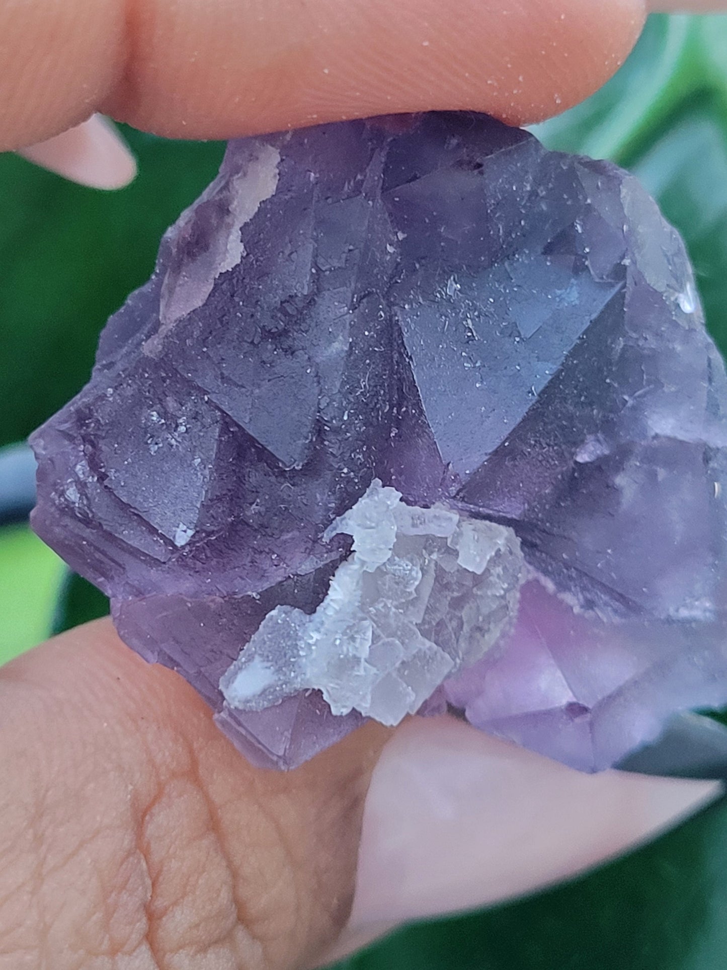 Beautiful Fluorite Specimen | Bicolor Purple & Green | Crystal Collector | Home Decor | Gift Ideas Birthday Christmas Love | Genius Stone