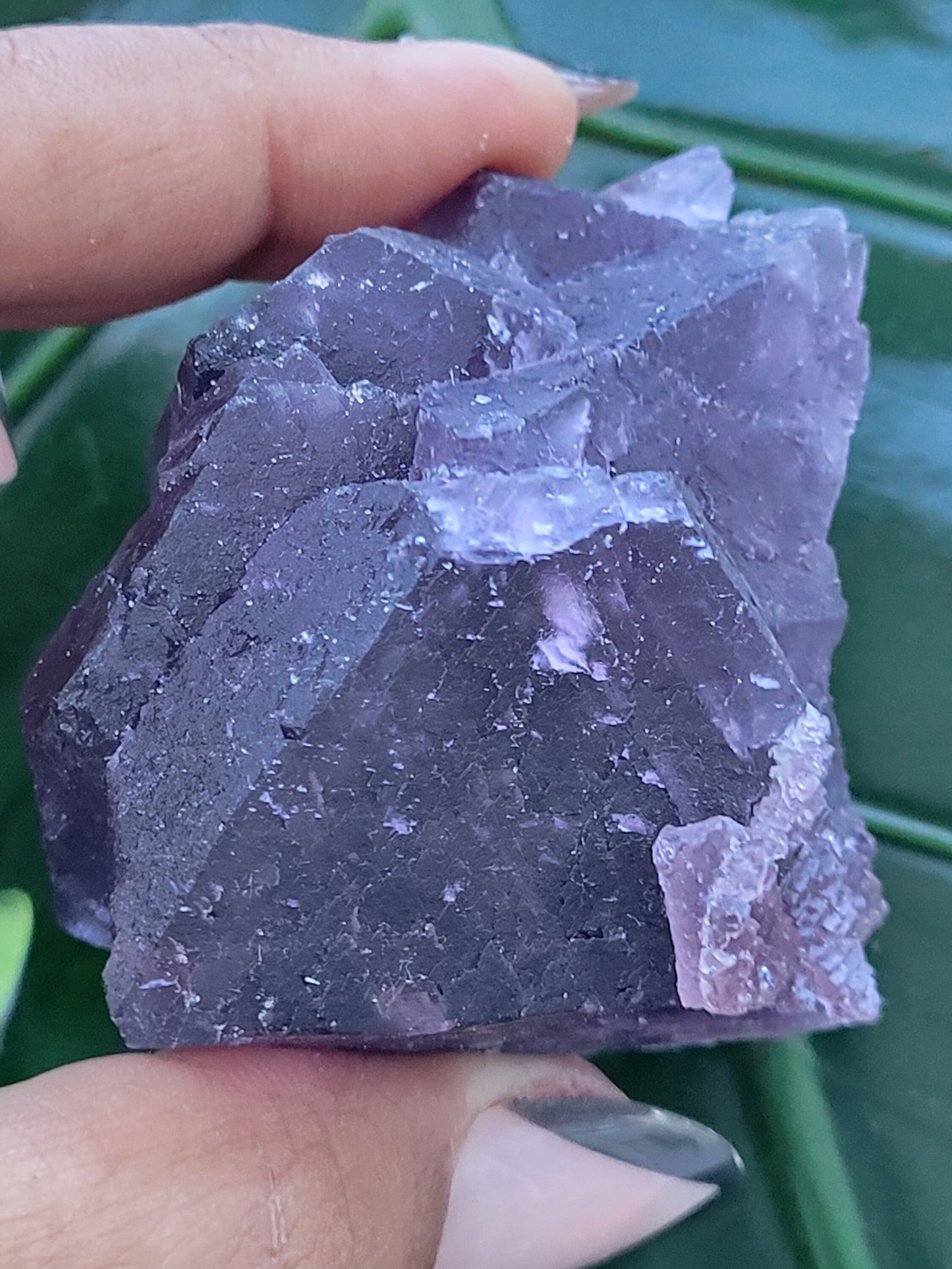 Beautiful Fluorite Specimen | Bicolor Purple and Lavender | Crystal Collector|Home Decor | Birthday Christmas Love Gift Ideas | Genius Stone