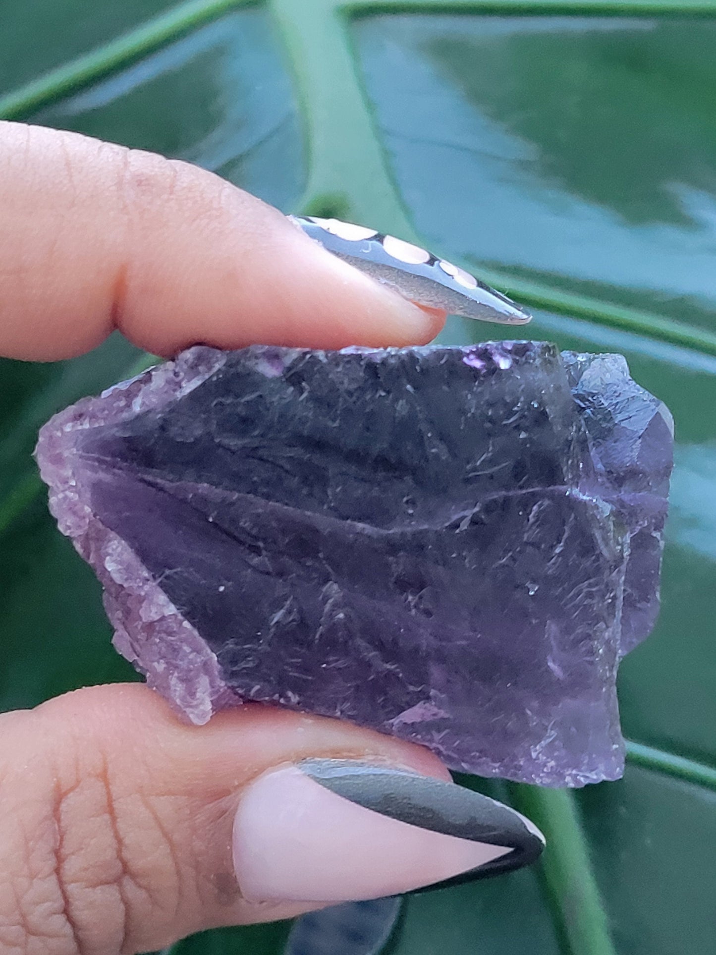 Beautiful Fluorite Specimen | Bicolor Purple and Lavender | Crystal Collector|Home Decor | Birthday Christmas Love Gift Ideas | Genius Stone