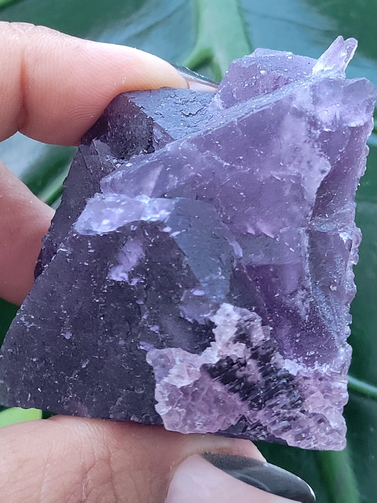 Beautiful Fluorite Specimen | Bicolor Purple and Lavender | Crystal Collector|Home Decor | Birthday Christmas Love Gift Ideas | Genius Stone
