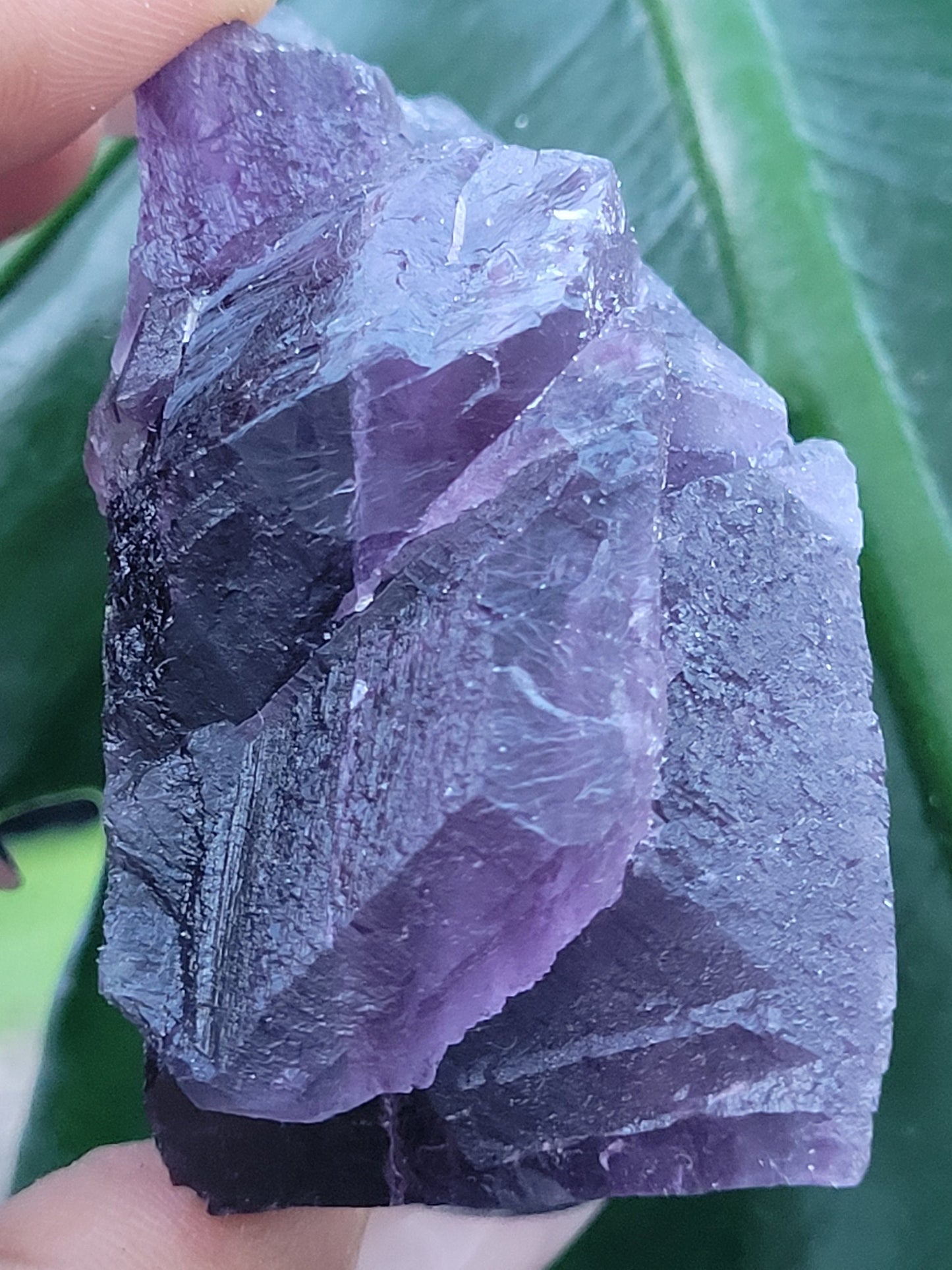 Beautiful Fluorite Specimen | Bicolor Purple and Lavender | Crystal Collector|Home Decor | Birthday Christmas Love Gift Ideas | Genius Stone
