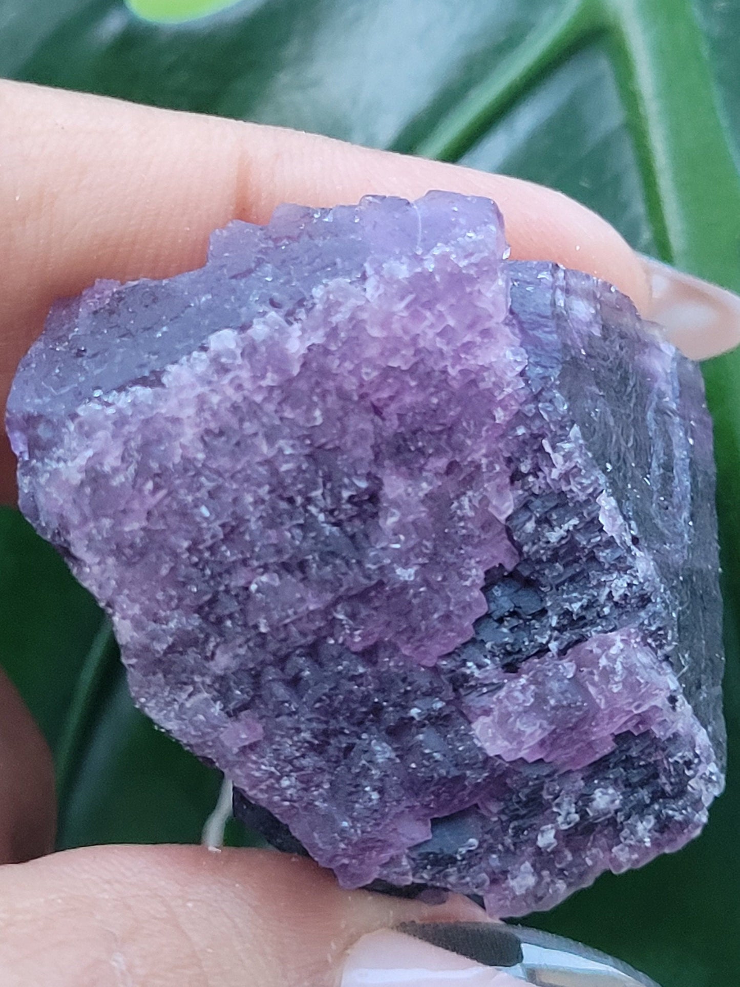 Beautiful Fluorite Specimen | Purple |Crystal Collector | Home Decor | Gift Ideas for Birthday Christmas Love | The Genius Stone