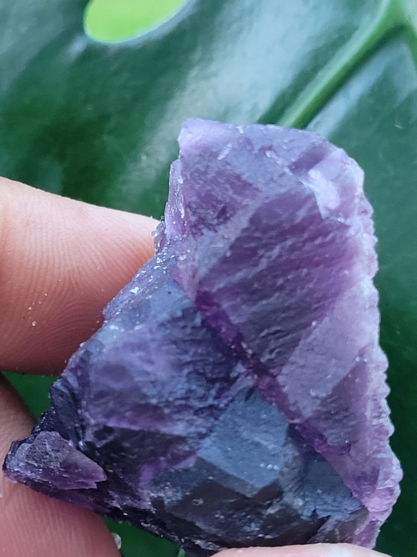 Beautiful Fluorite Specimen | Purple |Crystal Collector | Home Decor | Gift Ideas for Birthday Christmas Love | The Genius Stone