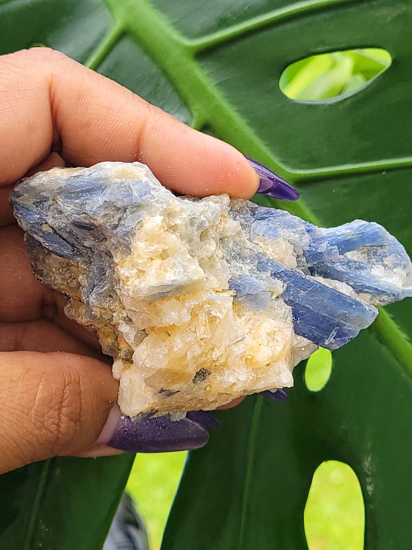 Kyanite & Quartz Crystal - Raw Natural Mineral Specimen - Home Decor - Crystal Collector - Gift