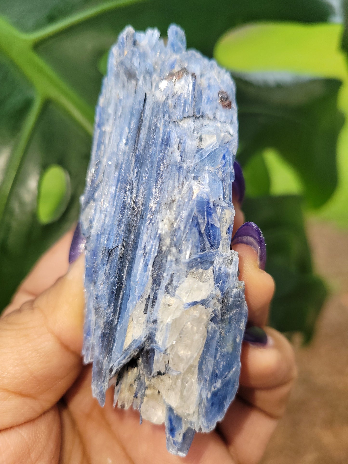 Kyanite & Quartz Crystal - Raw Natural Mineral Specimen - Home Decor - Crystal Collector - Gift