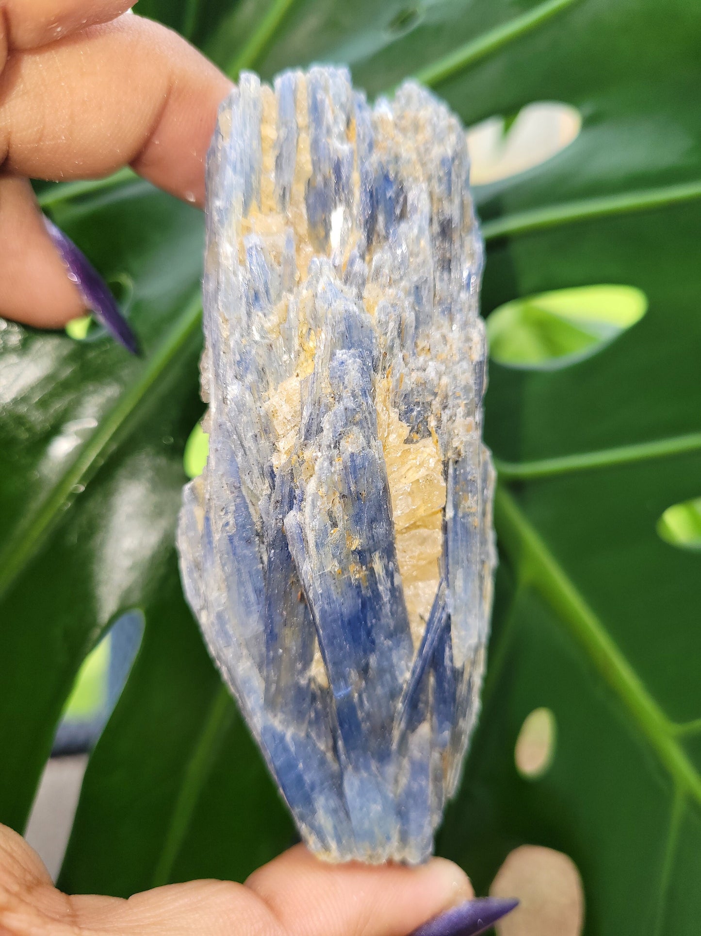Kyanite & Quartz Crystal - Raw Natural Mineral Specimen - Home Decor - Crystal Collector - Gift