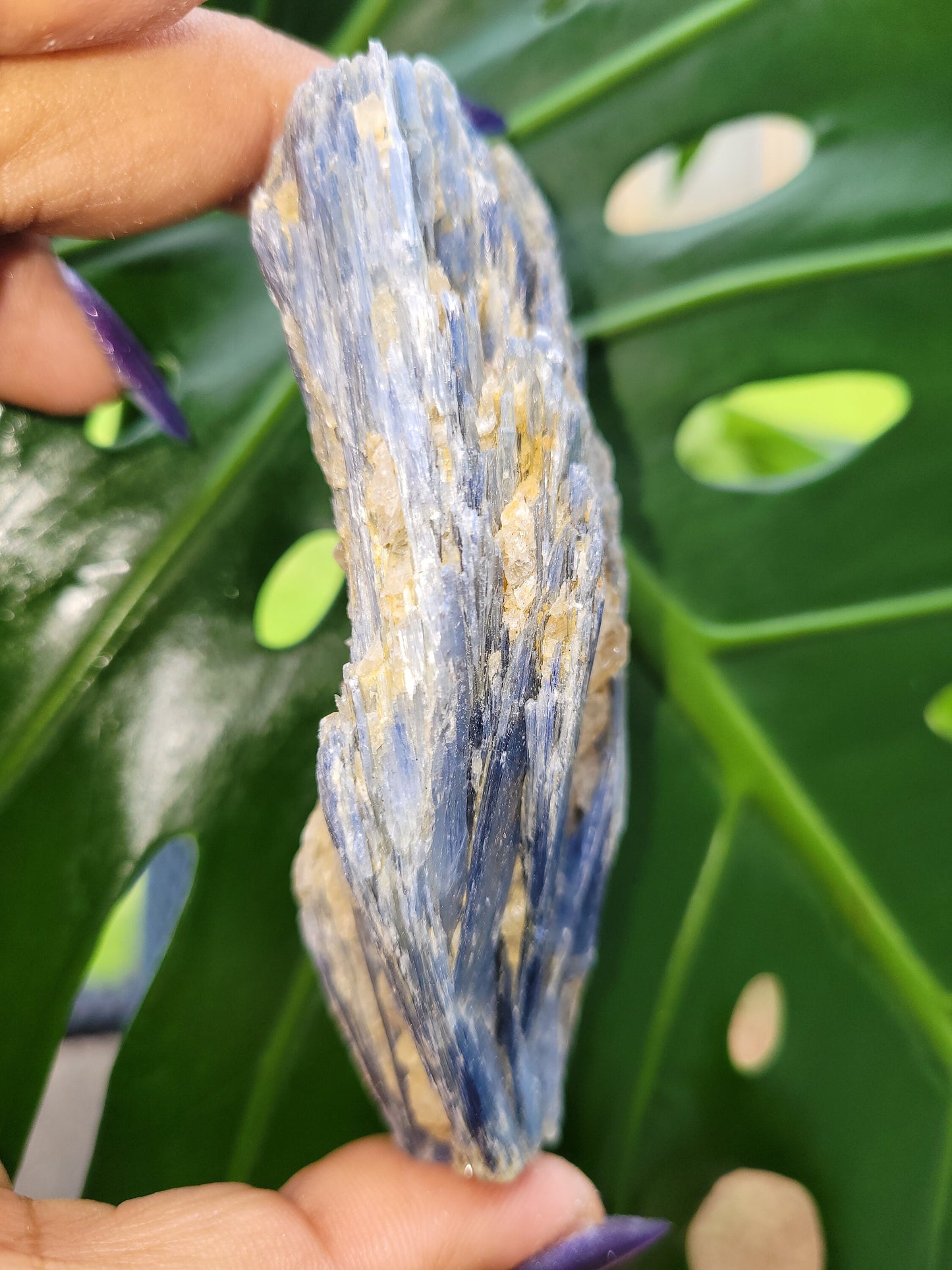 Kyanite & Quartz Crystal - Raw Natural Mineral Specimen - Home Decor - Crystal Collector - Gift