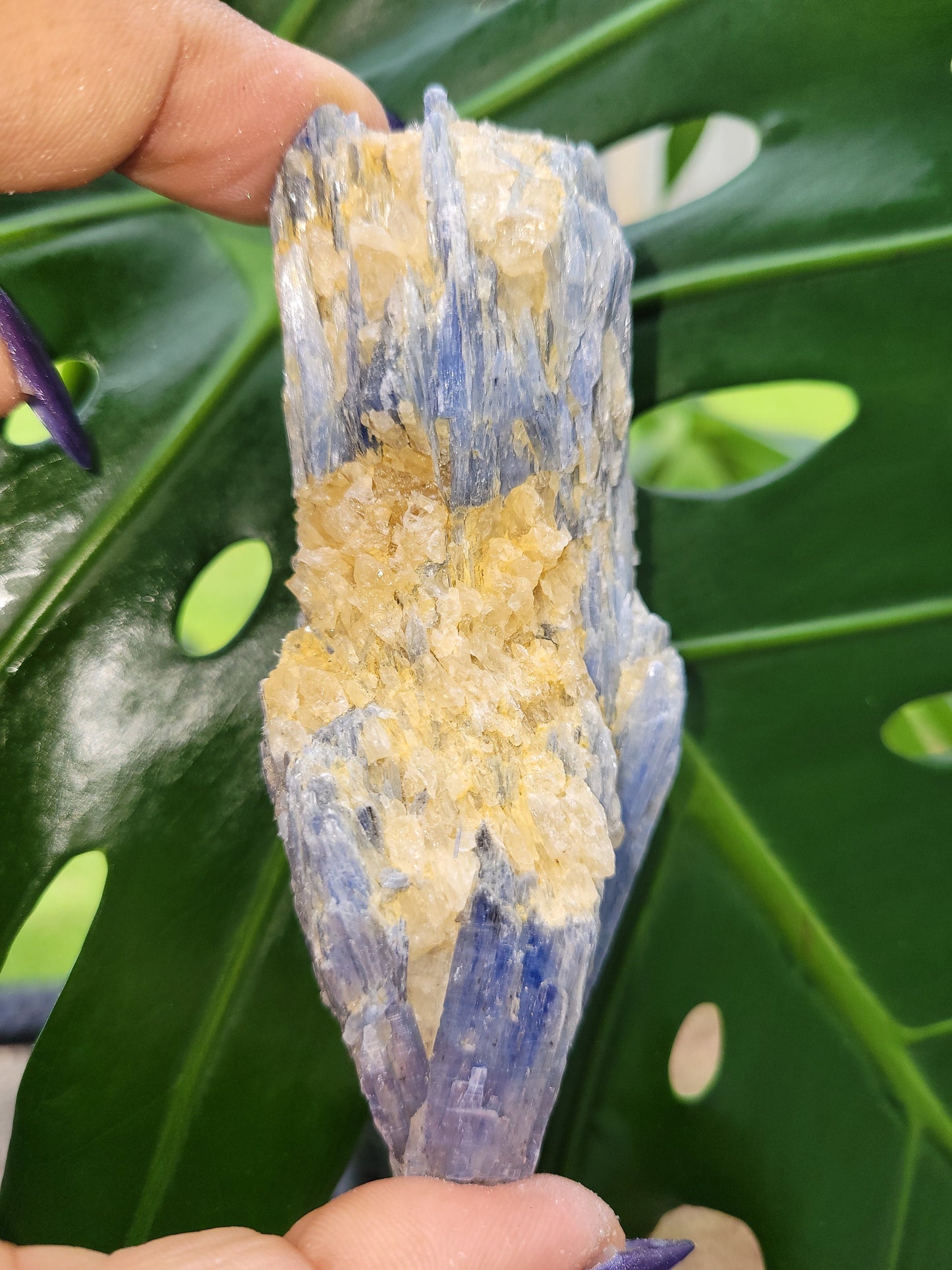 Kyanite & Quartz Crystal - Raw Natural Mineral Specimen - Home Decor - Crystal Collector - Gift