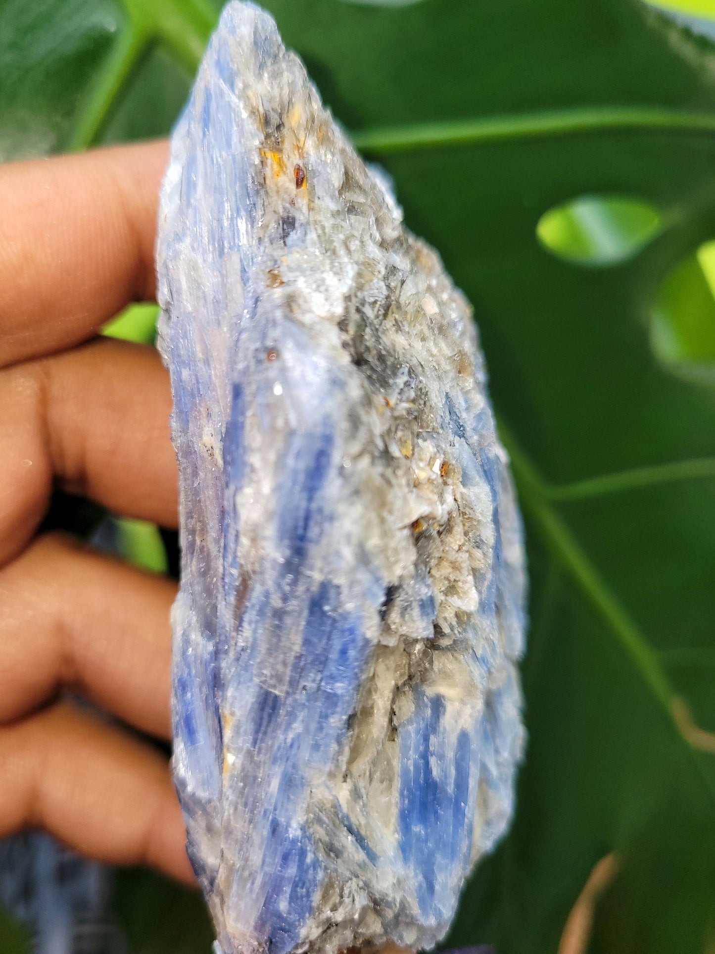 Kyanite & Quartz Crystal with Mica Inclusions - Raw Natural Mineral Specimen - Home Decor - Crystal Collector - Gift