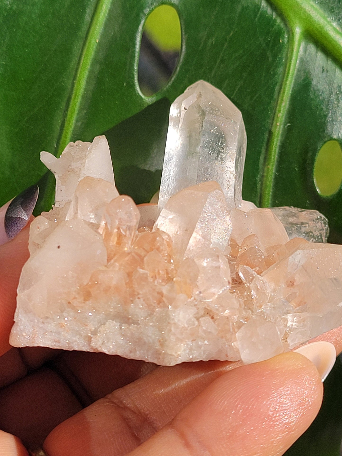 Stunning Pink Himalayan Quartz Cluster from the Himalayan Mountains|Crystal Collector|Birthday Valentines Day Love Gift Ideas | Home Decor