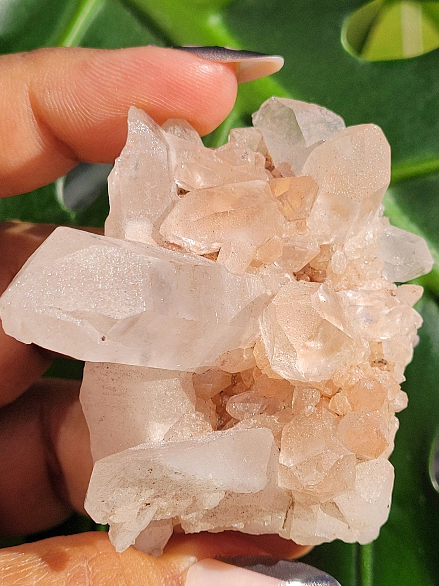 Stunning Pink Himalayan Quartz Cluster from the Himalayan Mountains|Crystal Collector|Birthday Valentines Day Love Gift Ideas | Home Decor