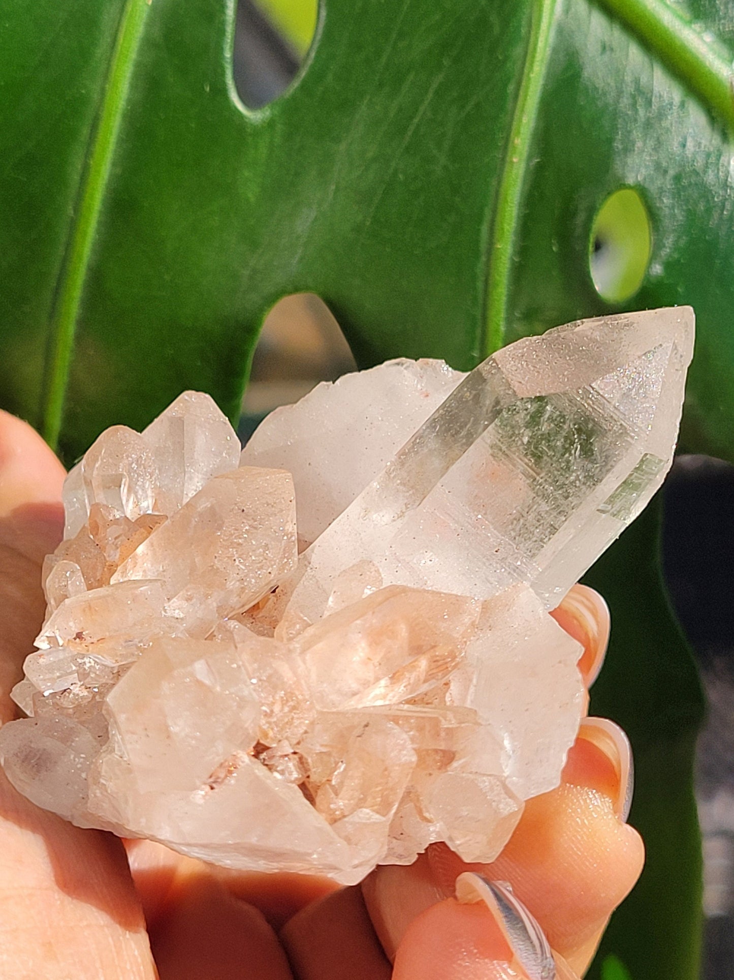 Stunning Pink Himalayan Quartz Cluster from the Himalayan Mountains|Crystal Collector|Birthday Valentines Day Love Gift Ideas | Home Decor