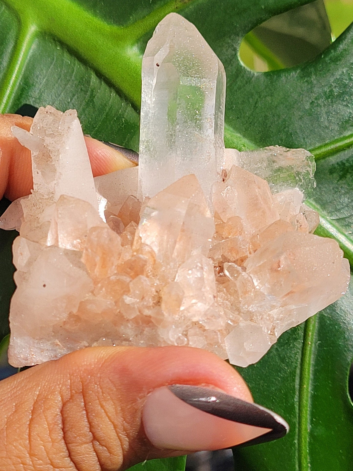 Stunning Pink Himalayan Quartz Cluster from the Himalayan Mountains|Crystal Collector|Birthday Valentines Day Love Gift Ideas | Home Decor