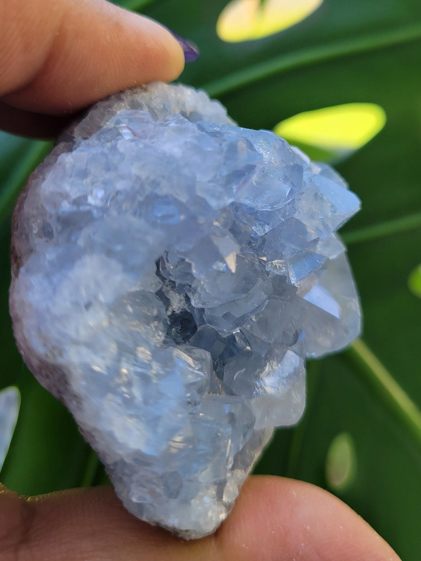 Celestite Crystal - Raw Natural Mineral Specimen - Home Decor - Crystal Collector - Gift