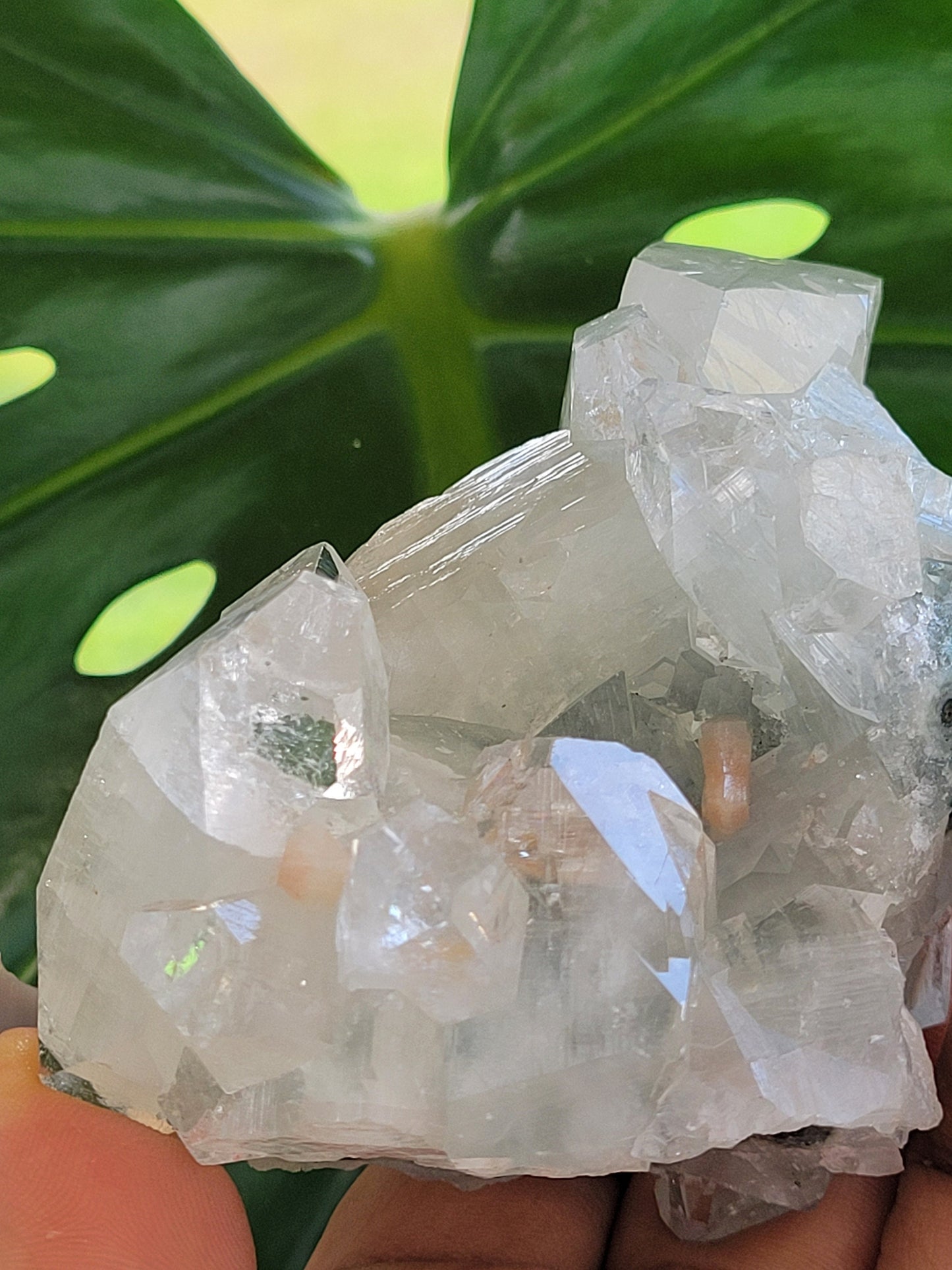 Gorgeous HQ Diamond Apophyllite with Peach Stilbite on Blue Chalcedony - India - Crystal Dbl Sided- Crystal Collector - Home Decor - Gift -
