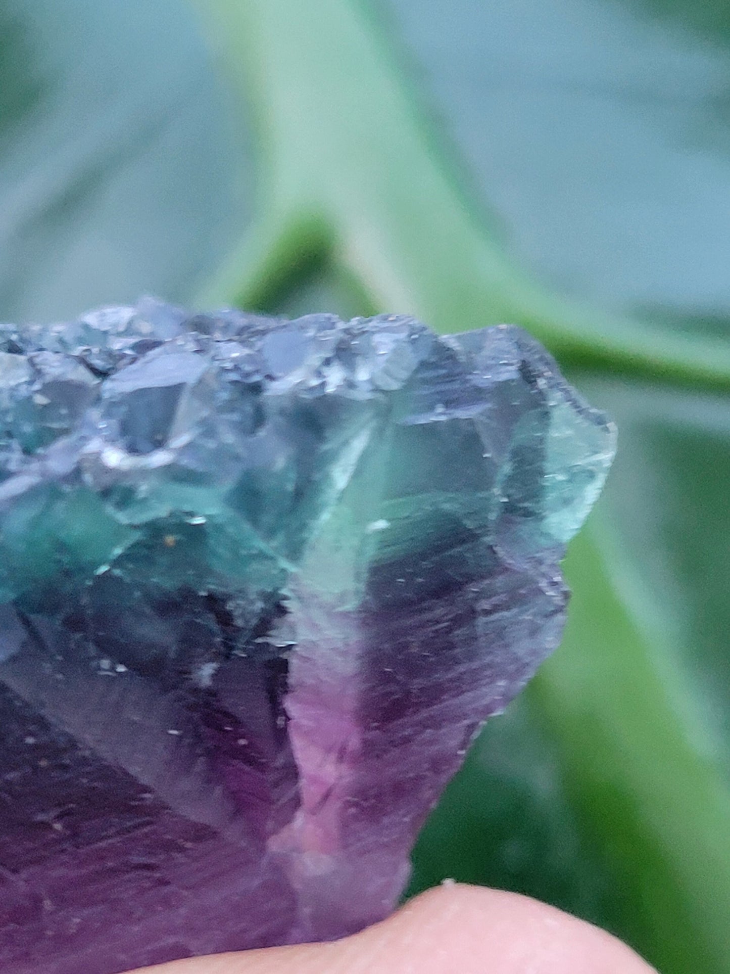 Beautiful Fluorite Crystal - Purple - Green - Crystal Collector - Home Decor - Gift
