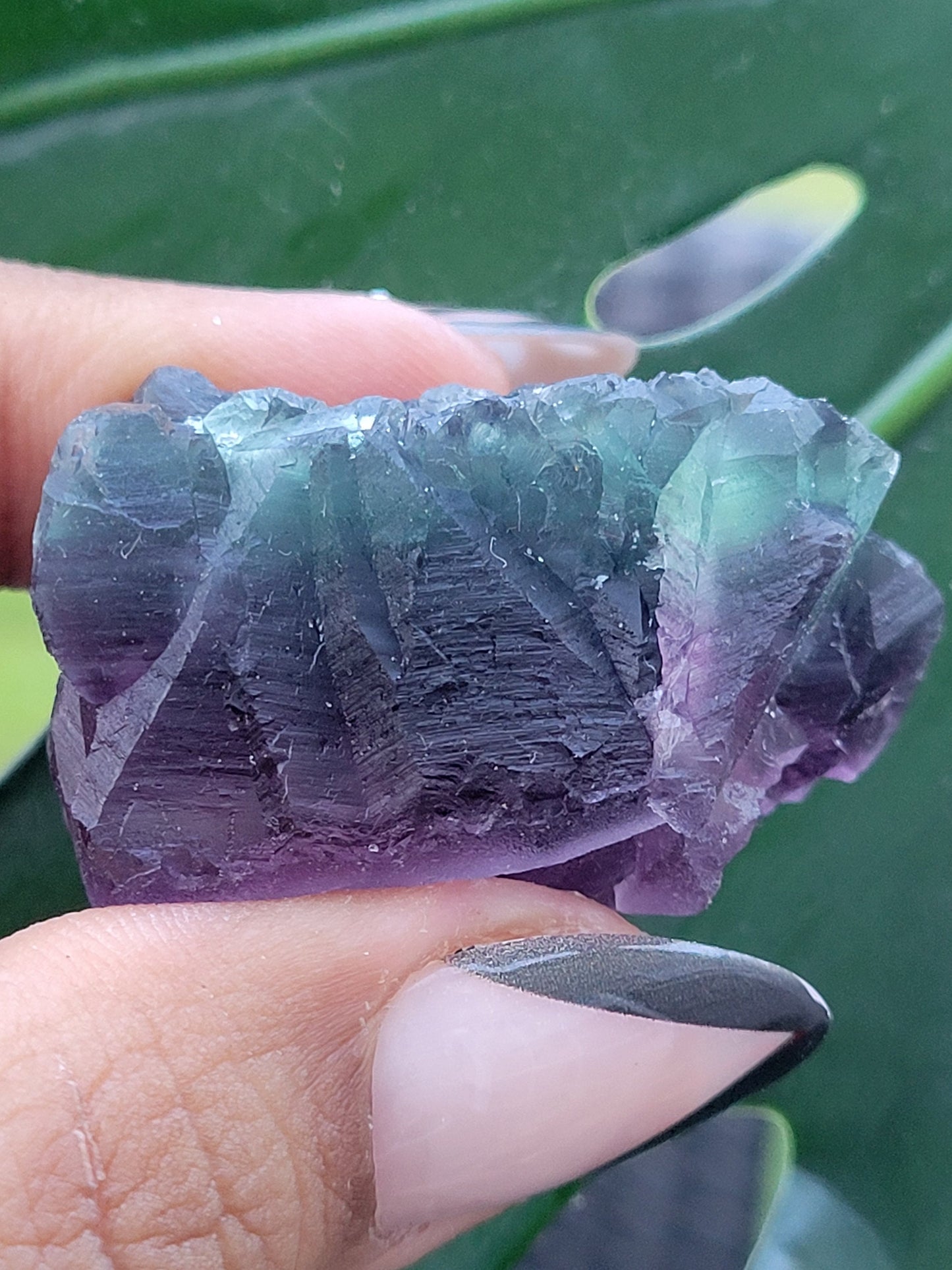 Beautiful Fluorite Crystal - Purple - Green - Crystal Collector - Home Decor - Gift