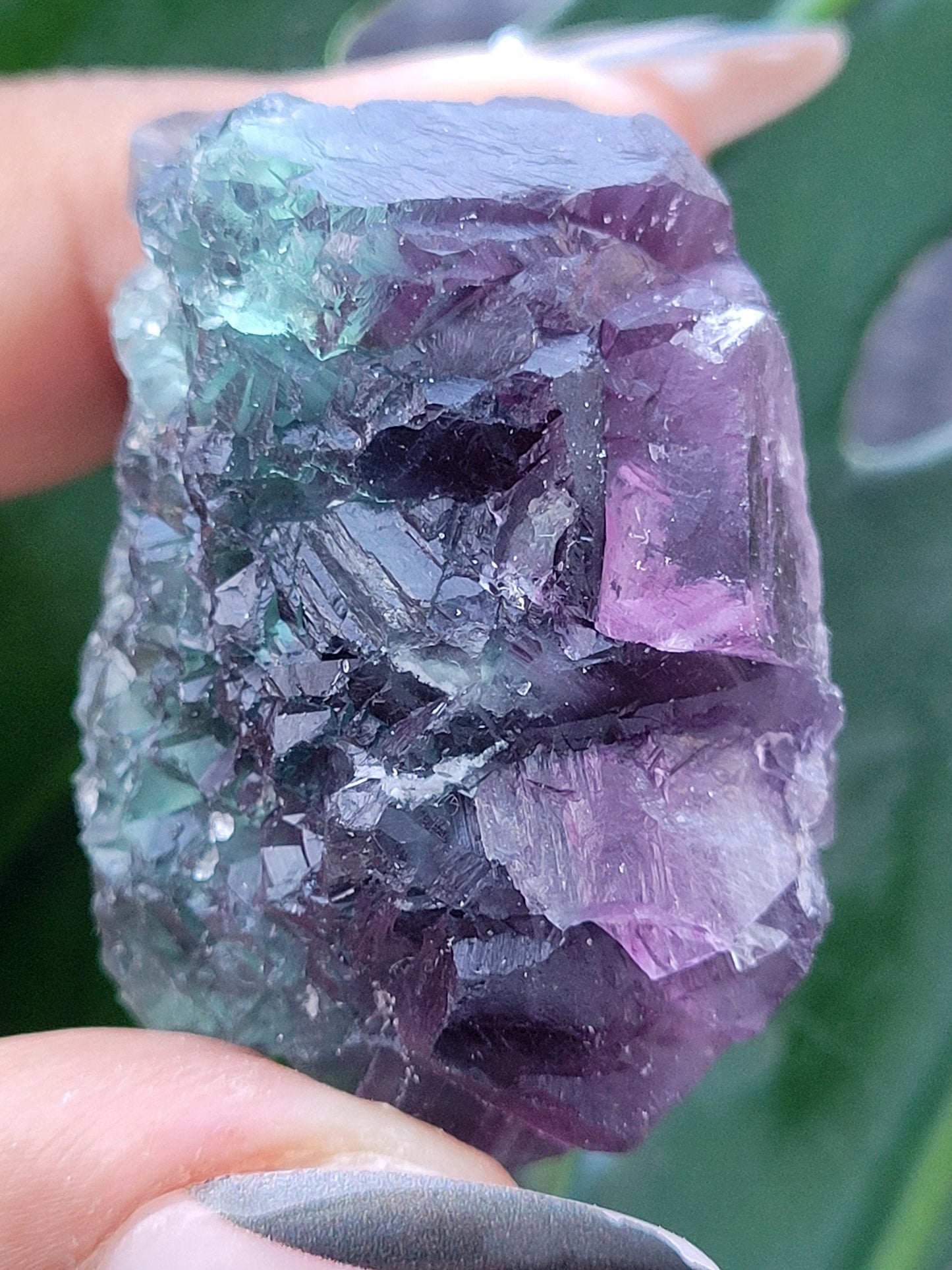 Beautiful Fluorite Crystal - Purple - Green - Crystal Collector - Home Decor - Gift