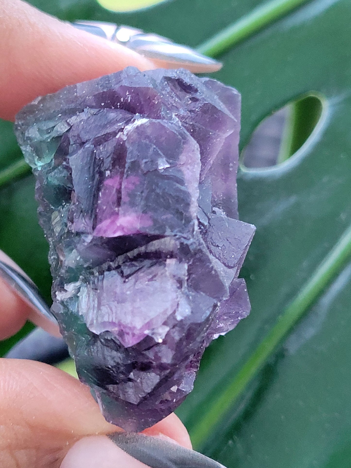 Beautiful Fluorite Crystal - Purple - Green - Crystal Collector - Home Decor - Gift