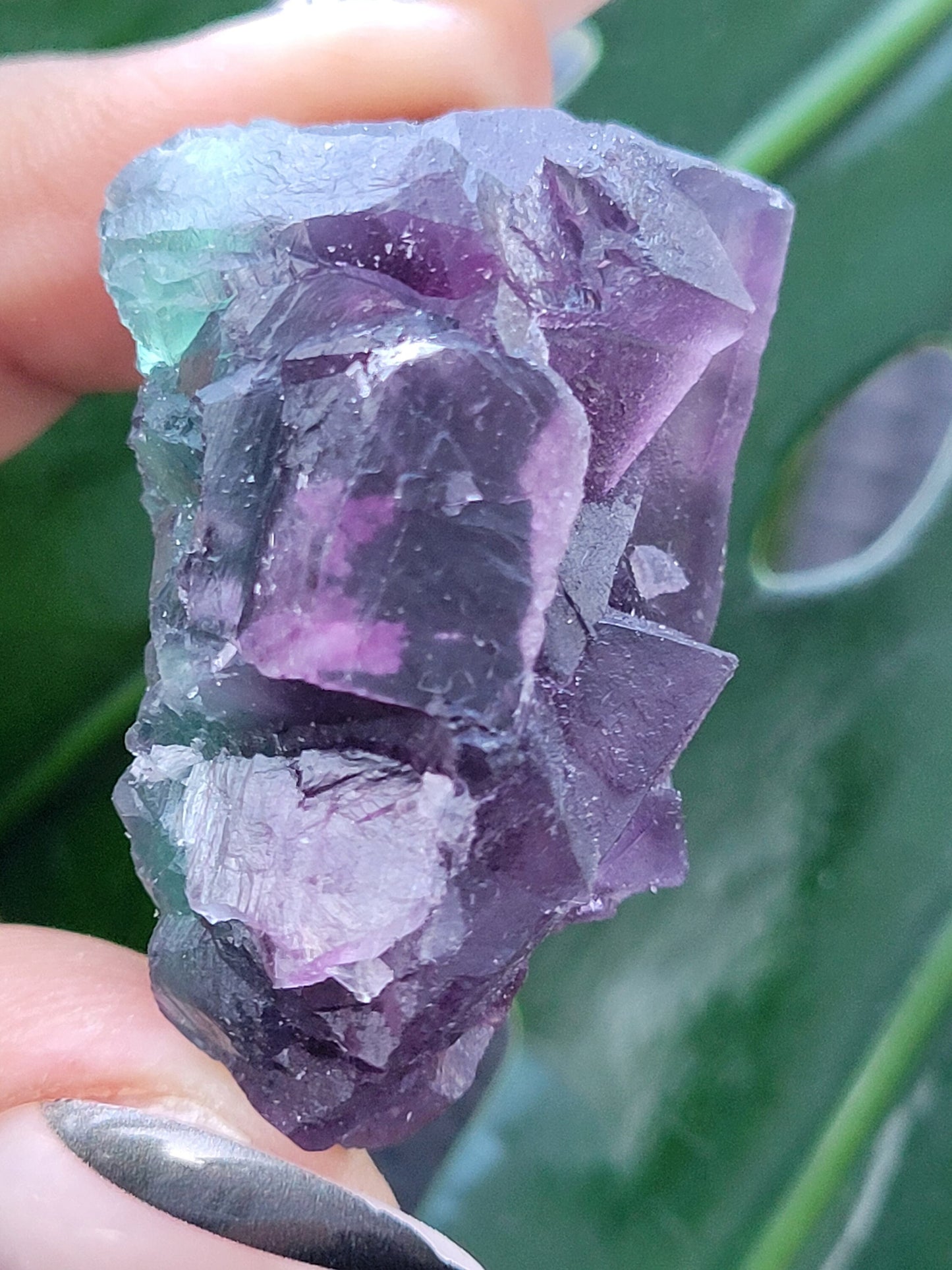 Beautiful Fluorite Crystal - Purple - Green - Crystal Collector - Home Decor - Gift