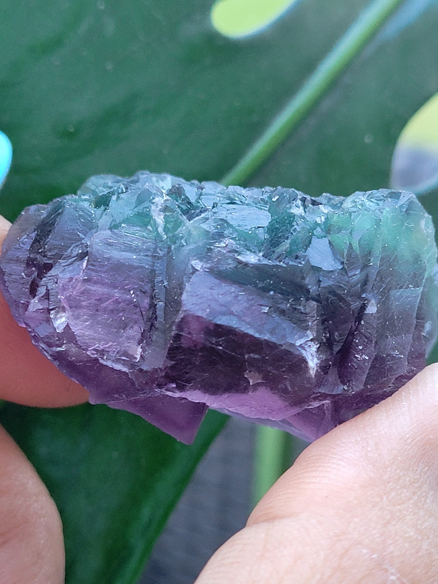 Beautiful Fluorite Crystal - Purple - Green - Crystal Collector - Home Decor - Gift