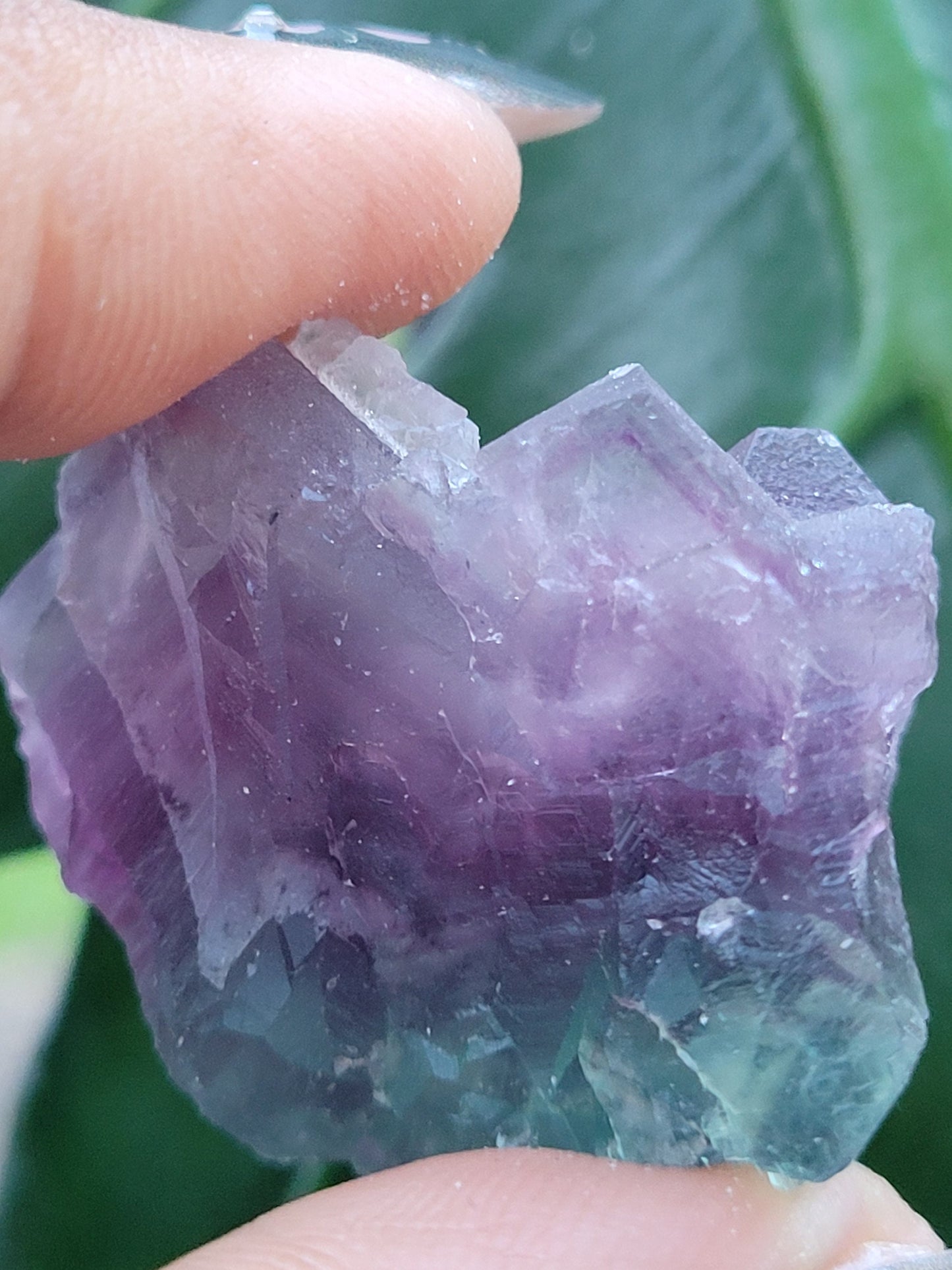 Beautiful Fluorite Specimen | Bicolor Purple & Green | Crystal Collector | Home Decor | Gift Ideas Birthday Christmas Love | Genius Stone