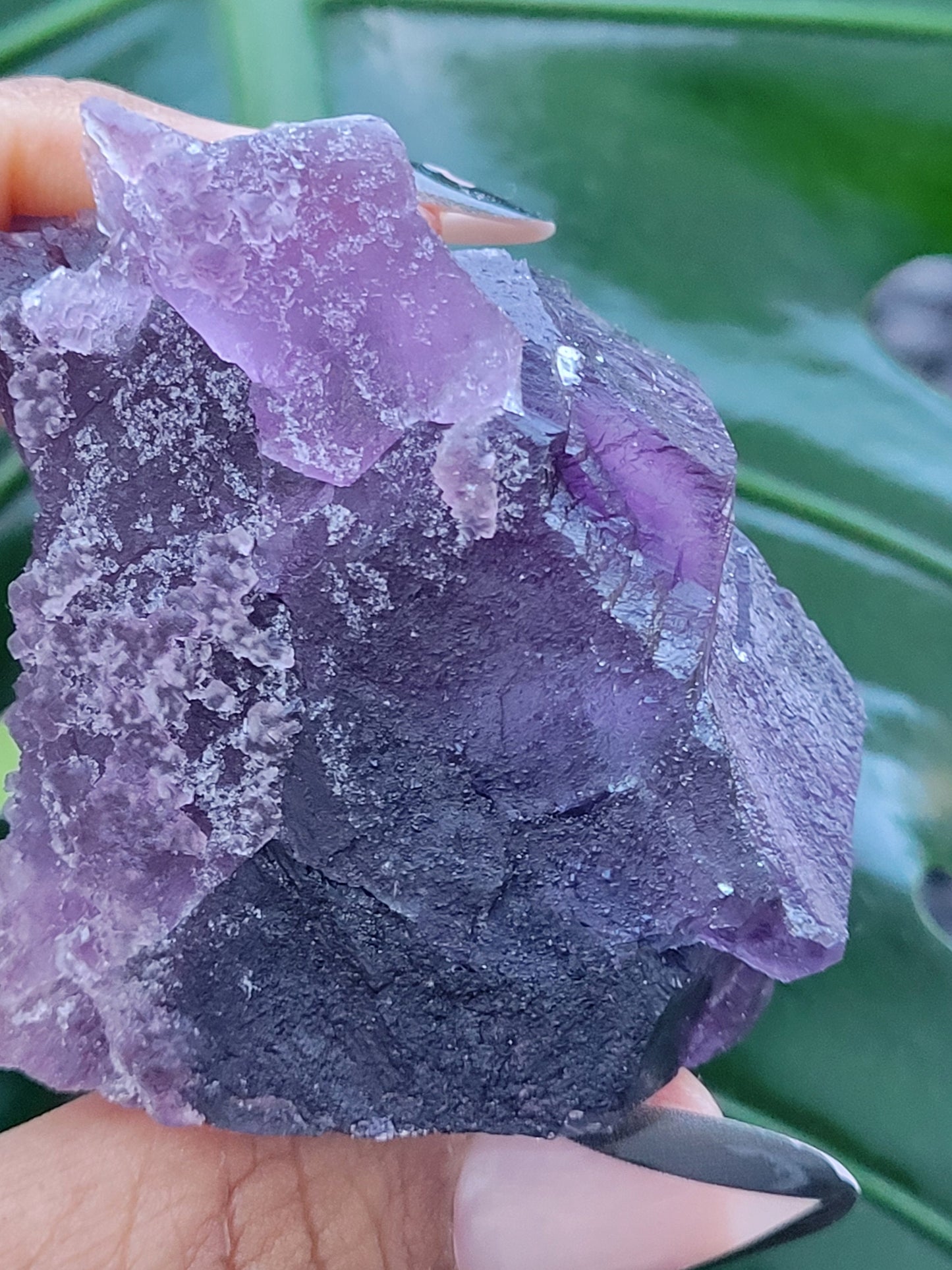 Beautiful Fluorite Specimen | Bicolor Purple and Lavender | Crystal Collector|Home Decor | Birthday Christmas Love Gift Ideas | Genius Stone