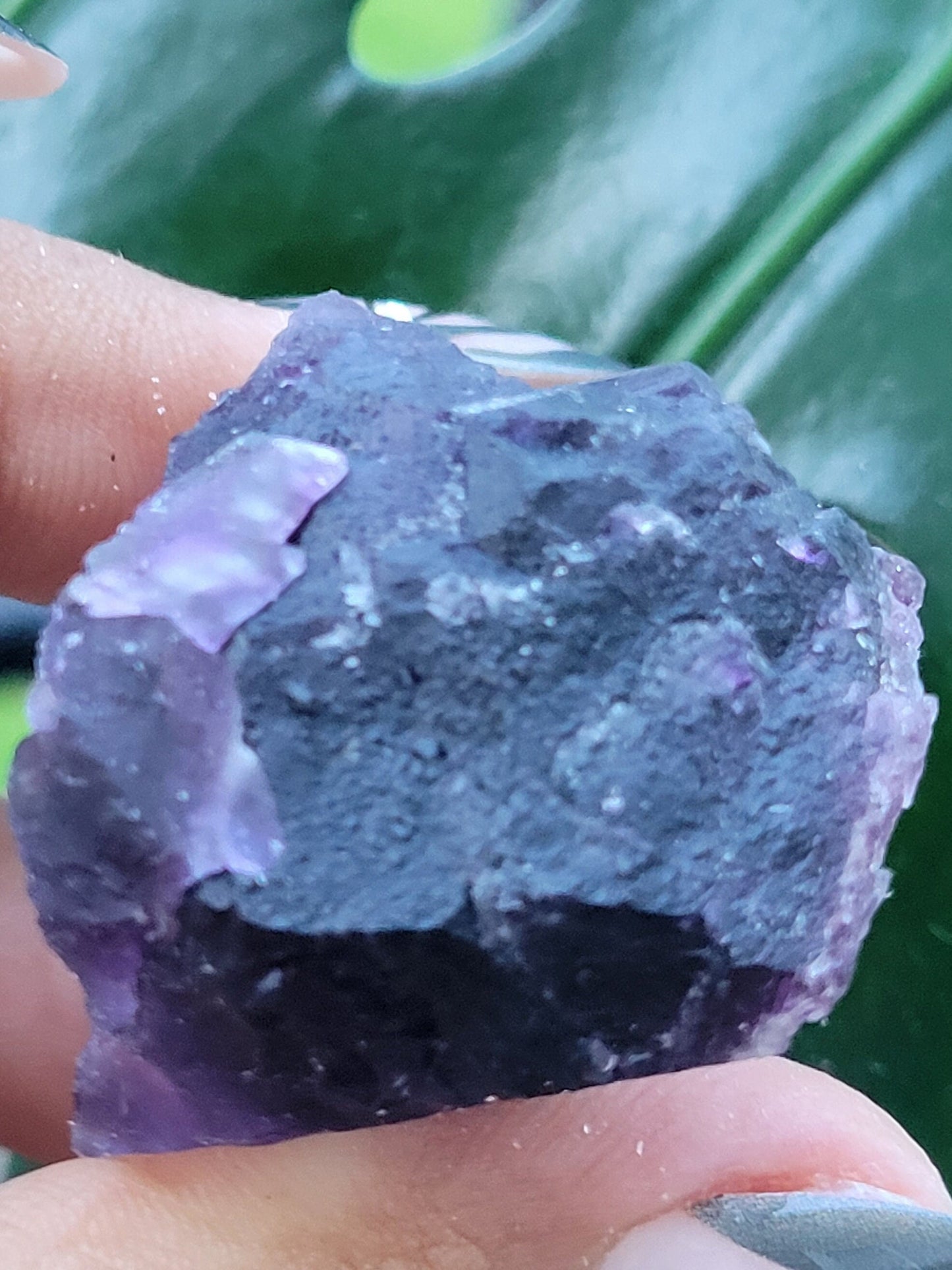 Beautiful Fluorite Specimen | Purple |Crystal Collector | Home Decor | Gift Ideas for Birthday Christmas Love | The Genius Stone