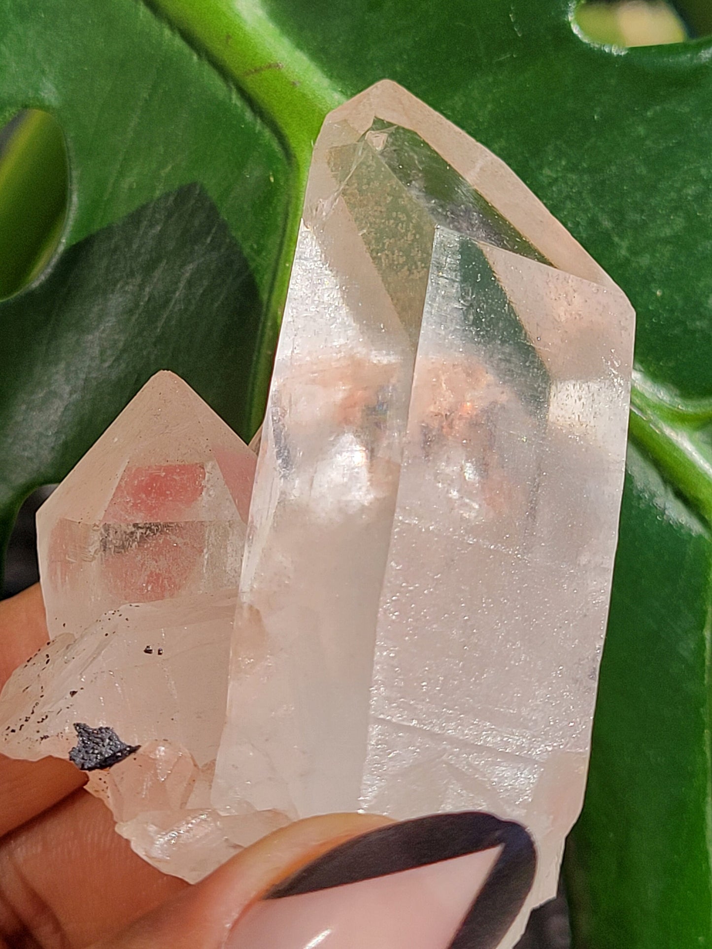 RARE Stunning Pink Himalayan Quartz Cluster from the Himalayan Mountains | Black Hematite Inclusion | Crystal Collector | Gift | Home Decor