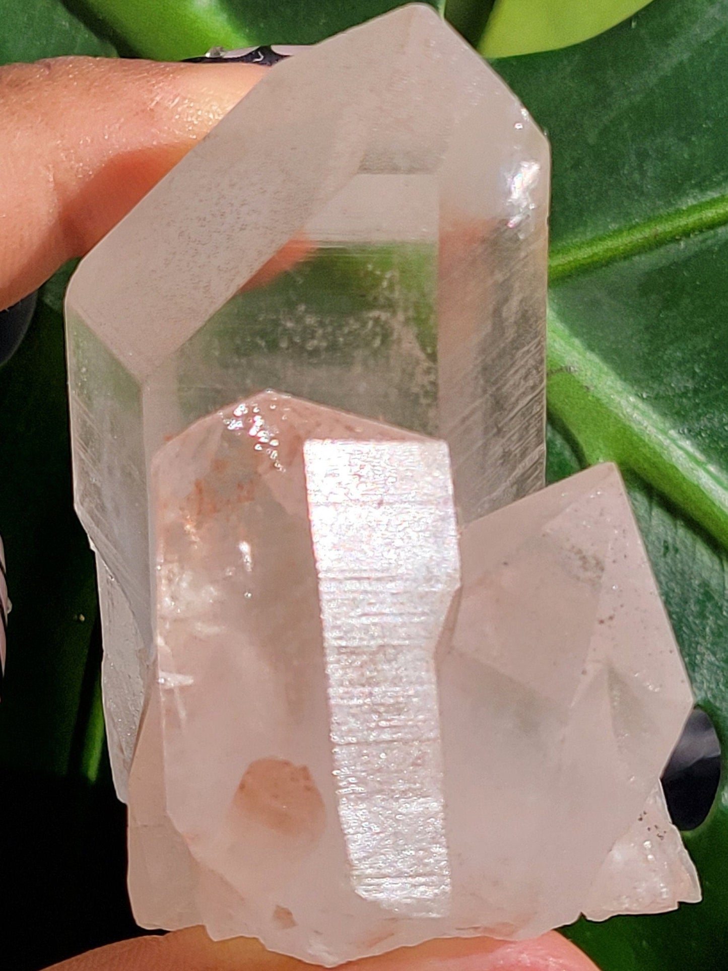 RARE Stunning Pink Himalayan Quartz Cluster from the Himalayan Mountains | Black Hematite Inclusion | Crystal Collector | Gift | Home Decor