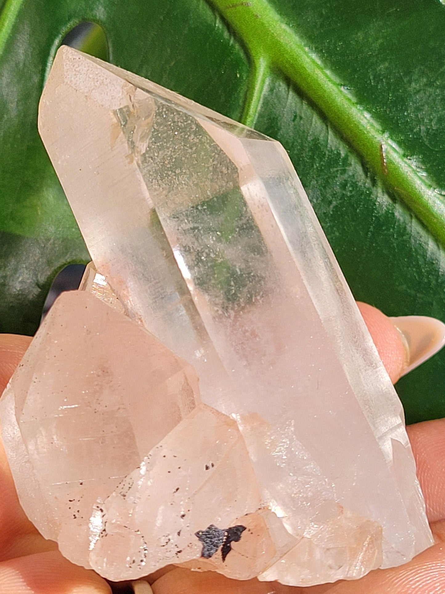 RARE Stunning Pink Himalayan Quartz Cluster from the Himalayan Mountains | Black Hematite Inclusion | Crystal Collector | Gift | Home Decor