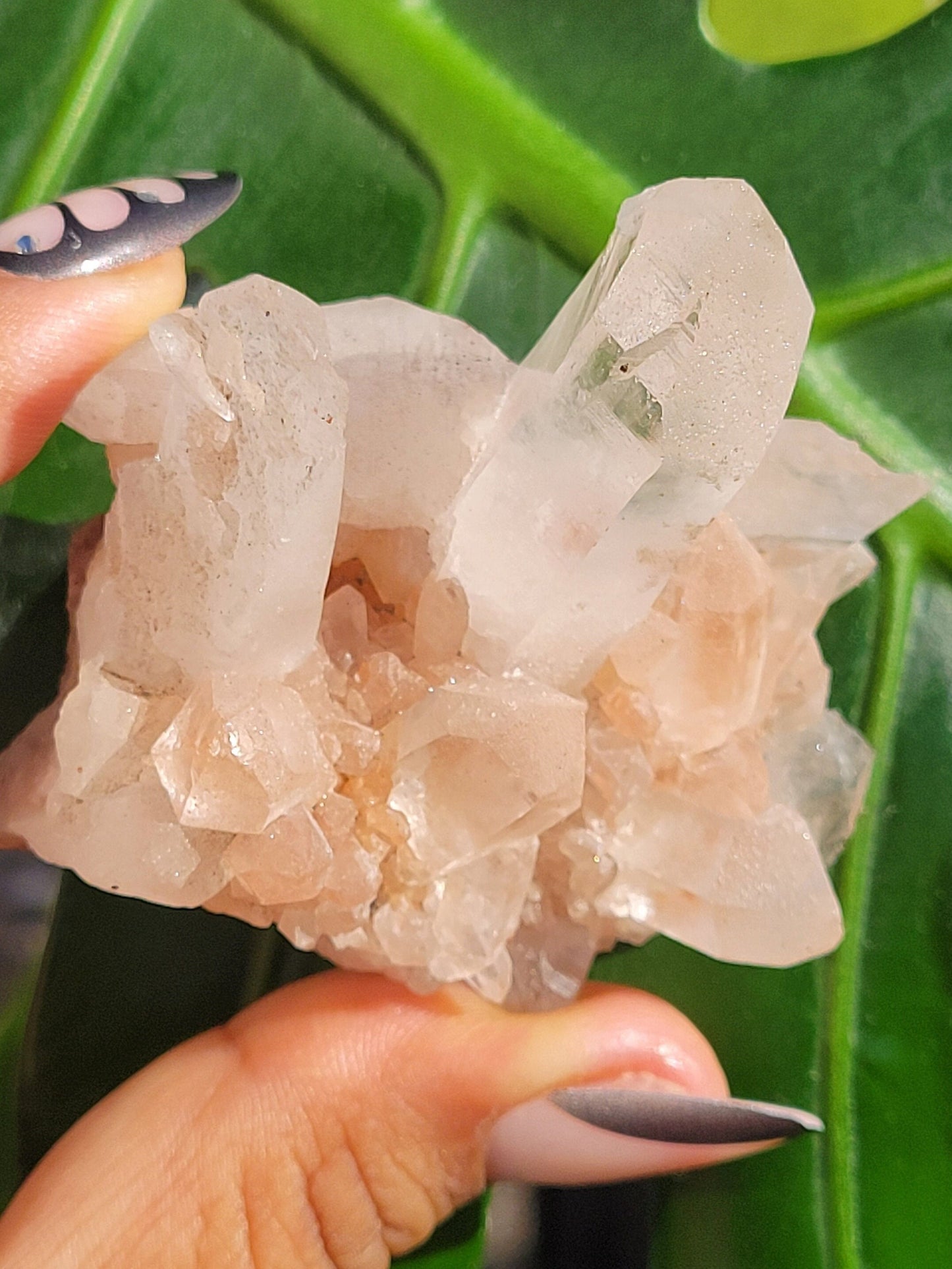 Stunning Pink Himalayan Quartz Cluster from the Himalayan Mountains|Crystal Collector|Birthday Valentines Day Love Gift Ideas | Home Decor
