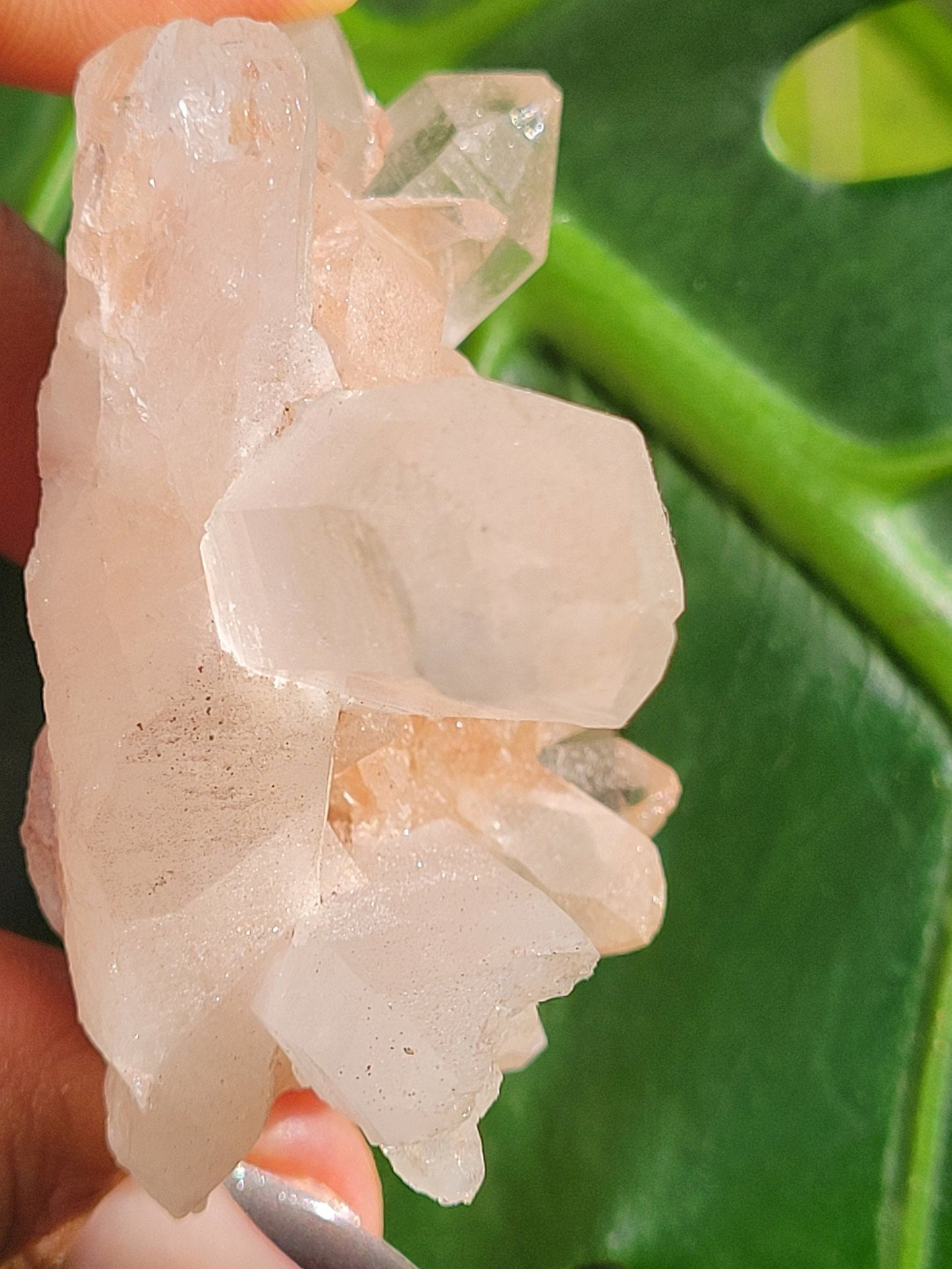 Stunning Pink Himalayan Quartz Cluster from the Himalayan Mountains|Crystal Collector|Birthday Valentines Day Love Gift Ideas | Home Decor