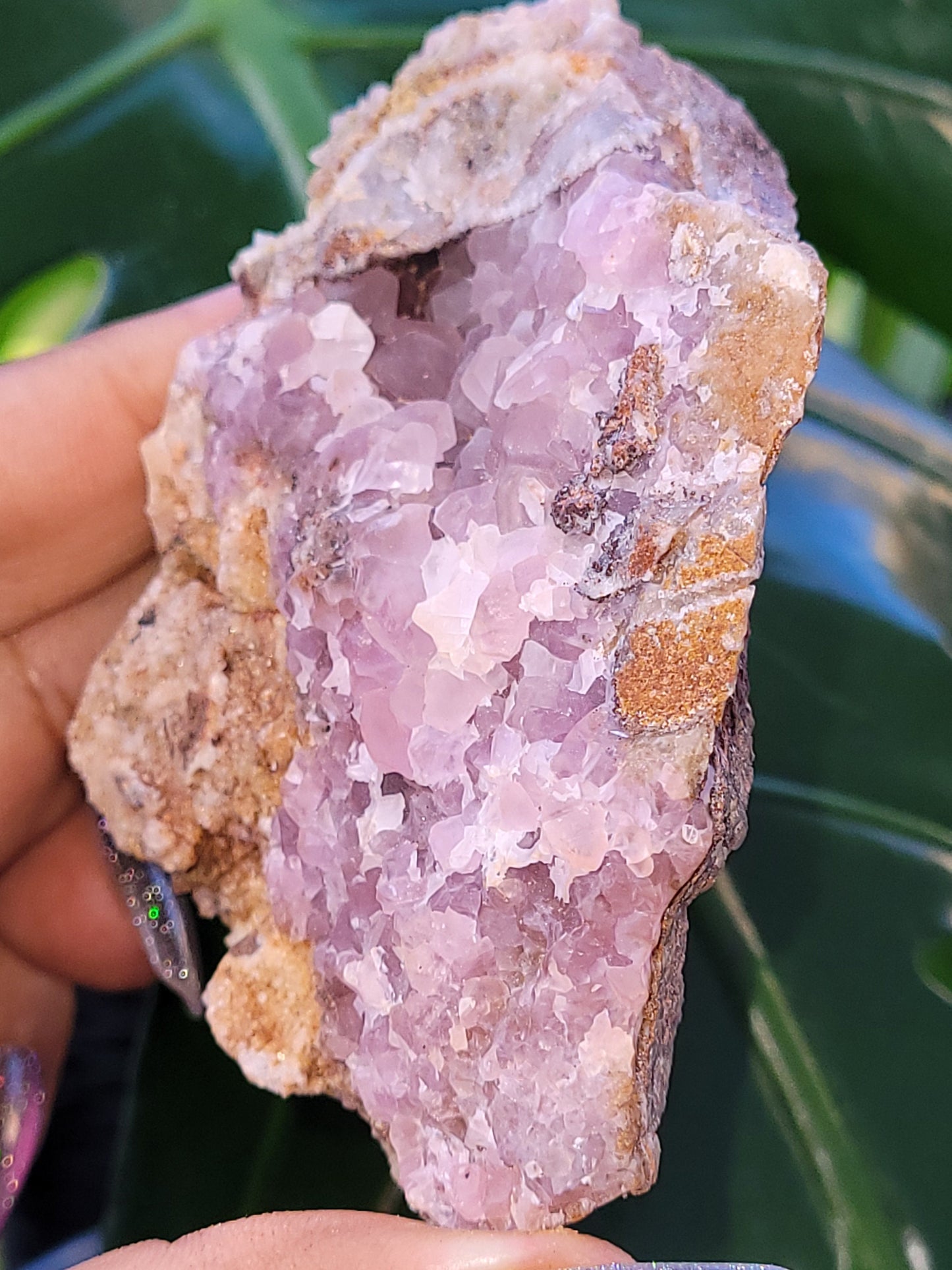 Pretty in Pink Starbloom Druze Cobalto Calcite on Matrix Specimen - Natural Gemstones - Home Decor - Gift - Crystal Collectors - Mexico