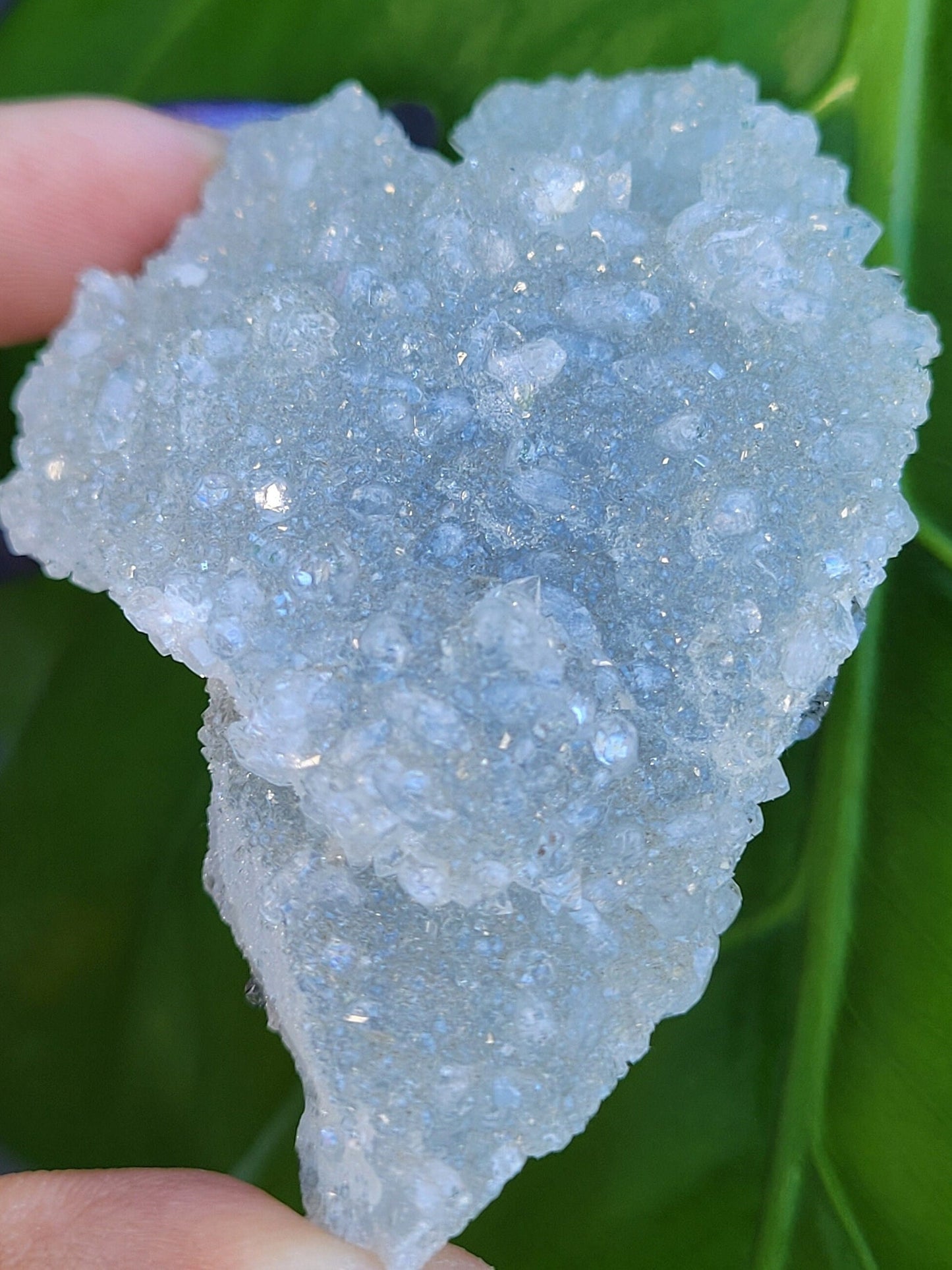 Gorgeous HQ Diamond Apophyllite on Blue Chalcedony - India - Crystal Specimen - Crystal Collector - Home Decor - Gift