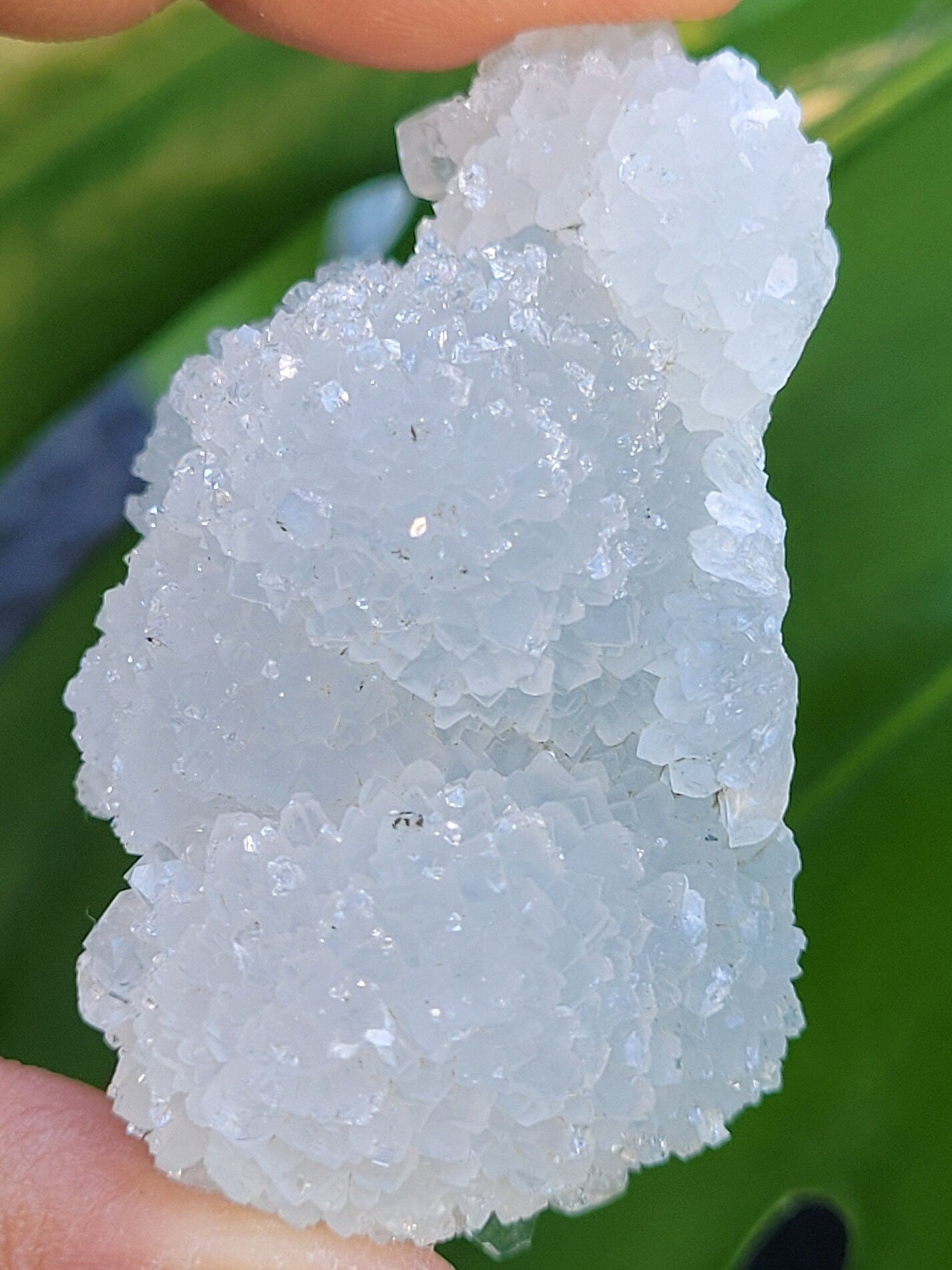 Gorgeous HQ Diamond Apophyllite Stalactite - Blue Chalcedony - India - Crystal Specimen - Crystal Collector - Home Decor - Gift