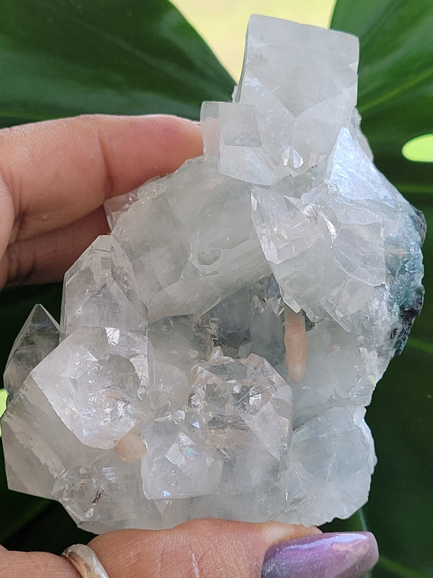 Gorgeous HQ Diamond Apophyllite with Peach Stilbite on Blue Chalcedony - India - Crystal Dbl Sided- Crystal Collector - Home Decor - Gift -