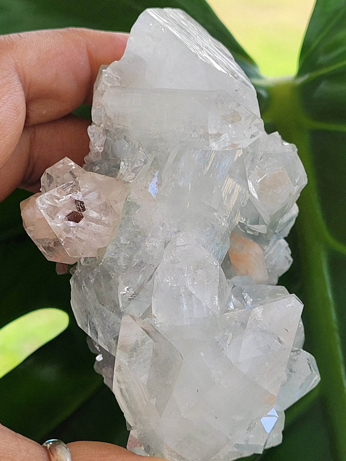Gorgeous HQ Diamond Apophyllite with Peach Stilbite on Blue Chalcedony - India - Crystal Dbl Sided- Crystal Collector - Home Decor - Gift -