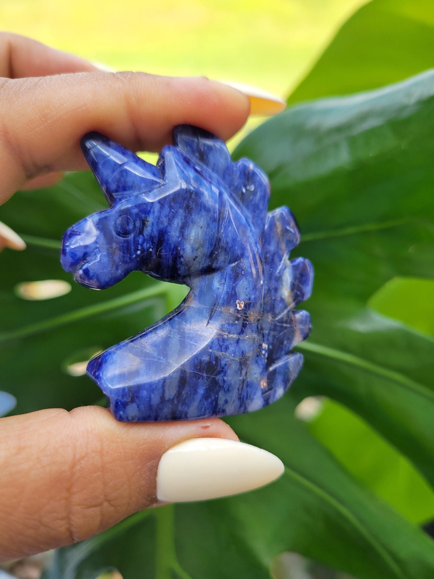 Sunset Sodalite Unicorn Crystal Carving - Crystal Collector - Master Carver - Gift - Luxury Home Decor