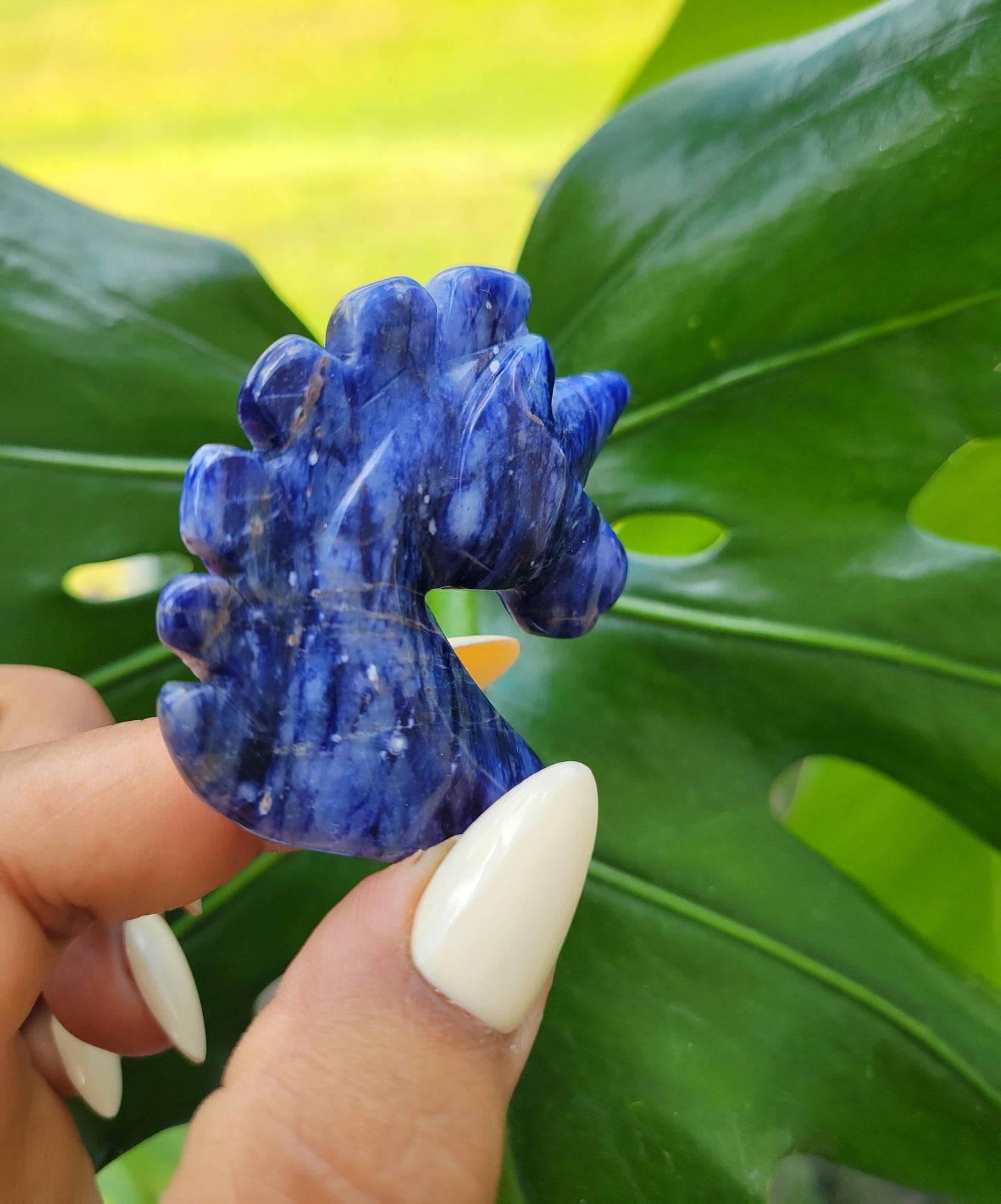 Sunset Sodalite Unicorn Crystal Carving - Crystal Collector - Master Carver - Gift - Luxury Home Decor
