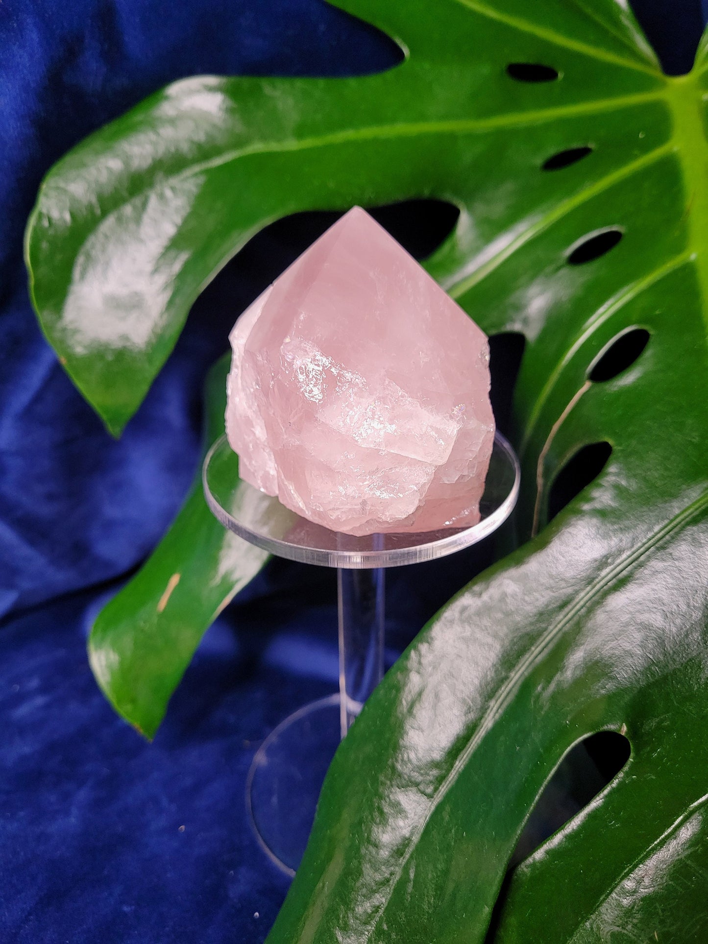 Rose Quartz Point from Brazil | HQ Half Polished 272g | Heart Chakra Meditation Tool | Birthday or Valentines Day Love Gift | Pastel Pink