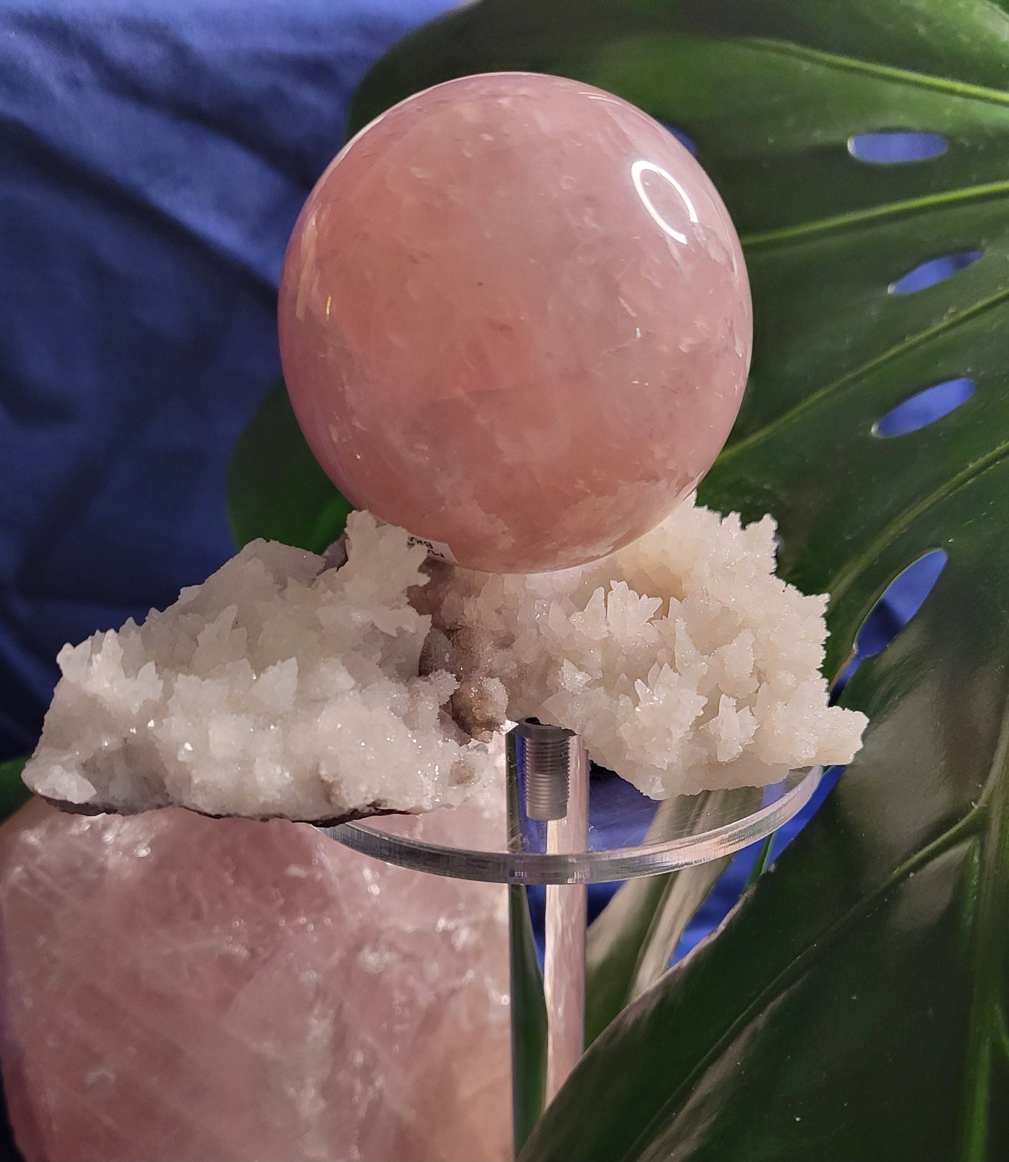 Star Rose Quartz Sphere | High Quality Crystal from Brazil | 55mm | Crystal Collector | Heart Chakra | Birthday or Valentines Day Love Gift