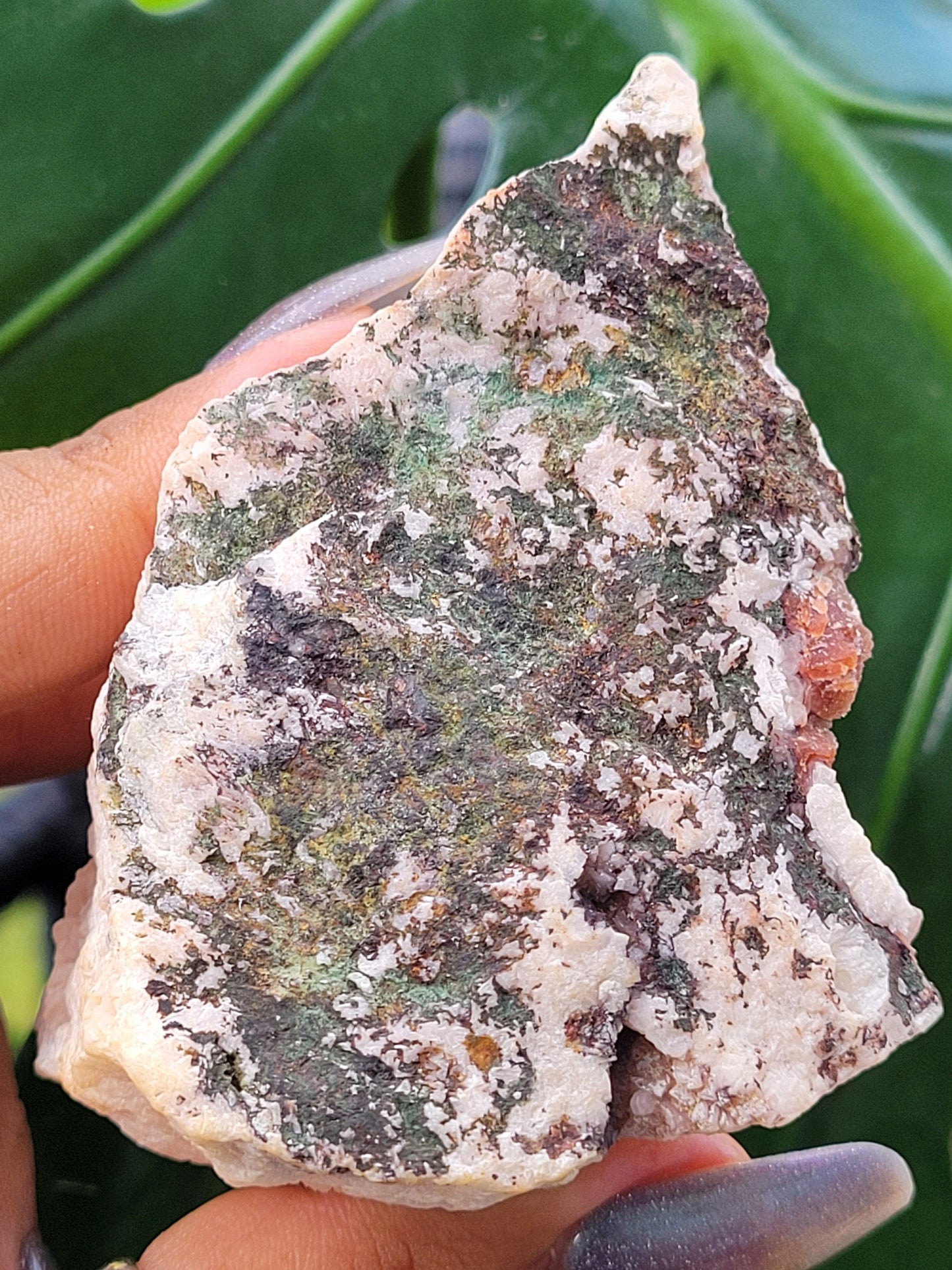 Pretty in Pink Starbloom Druze Cobalto Calcite on Matrix Specimen - Natural Gemstones - Home Decor - Gift - Crystal Collectors - Mexico